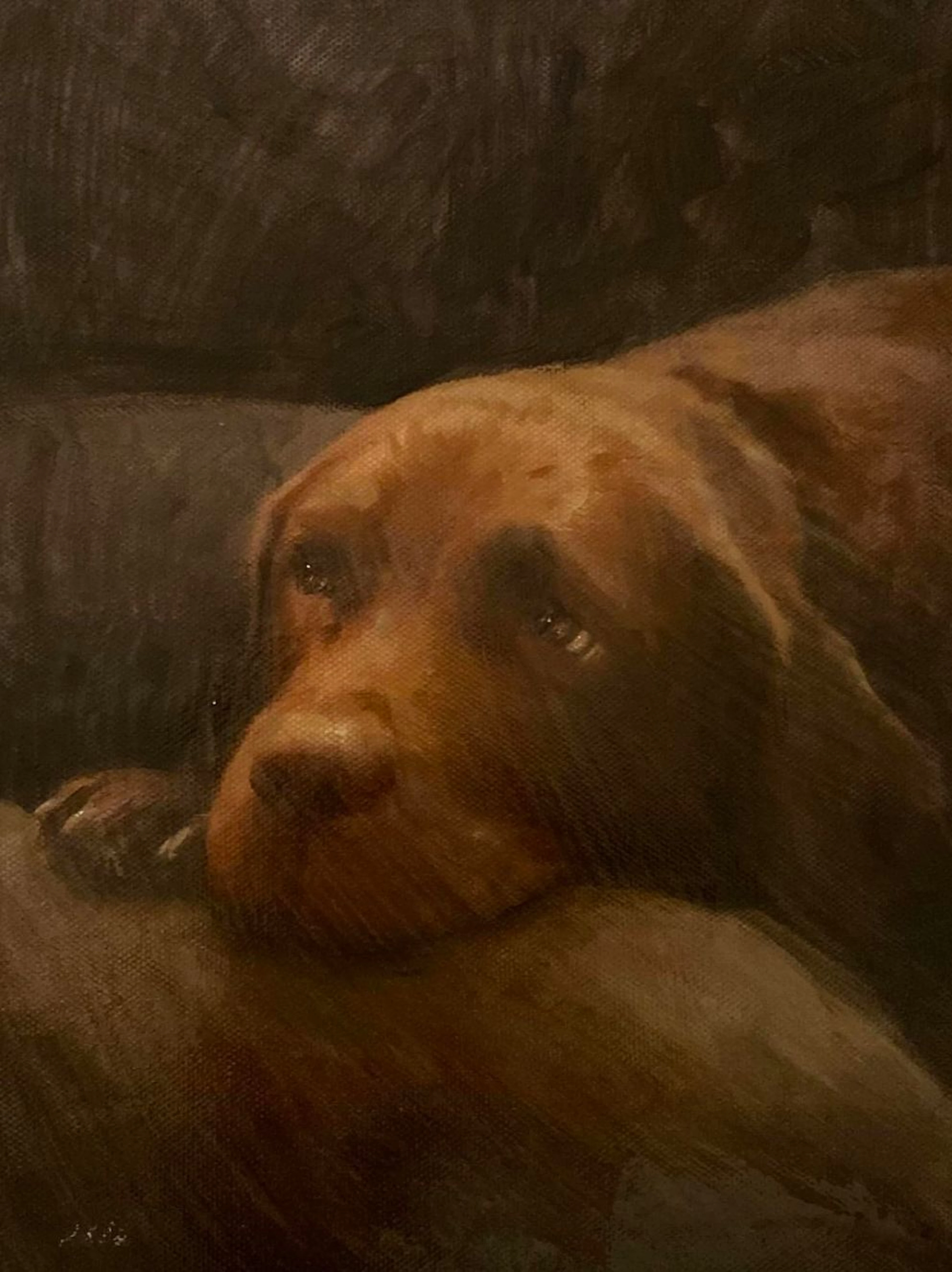 'Doodles' - William Oxer F.R.S.A.