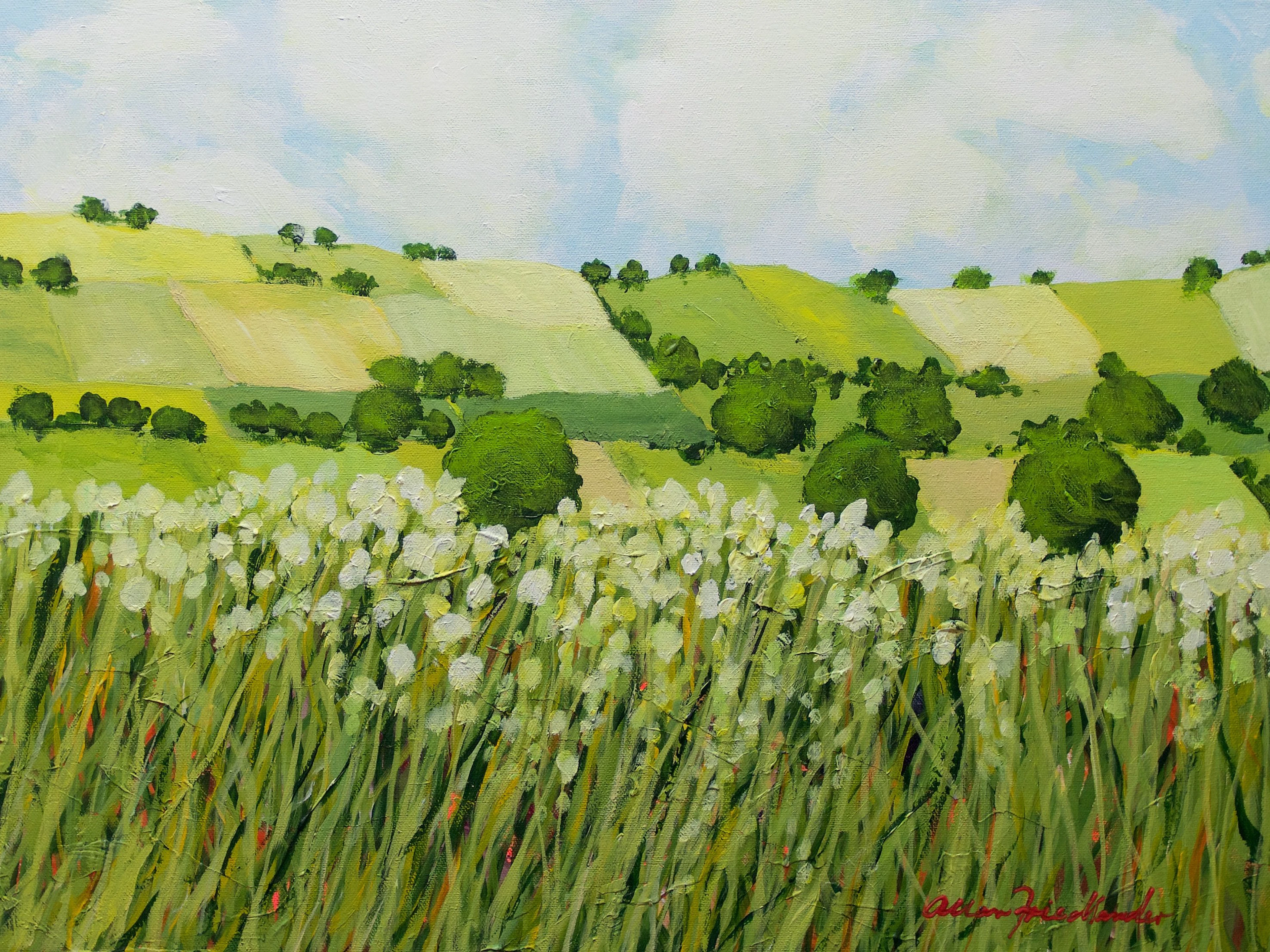 Early Grass - Allan P Friedlander