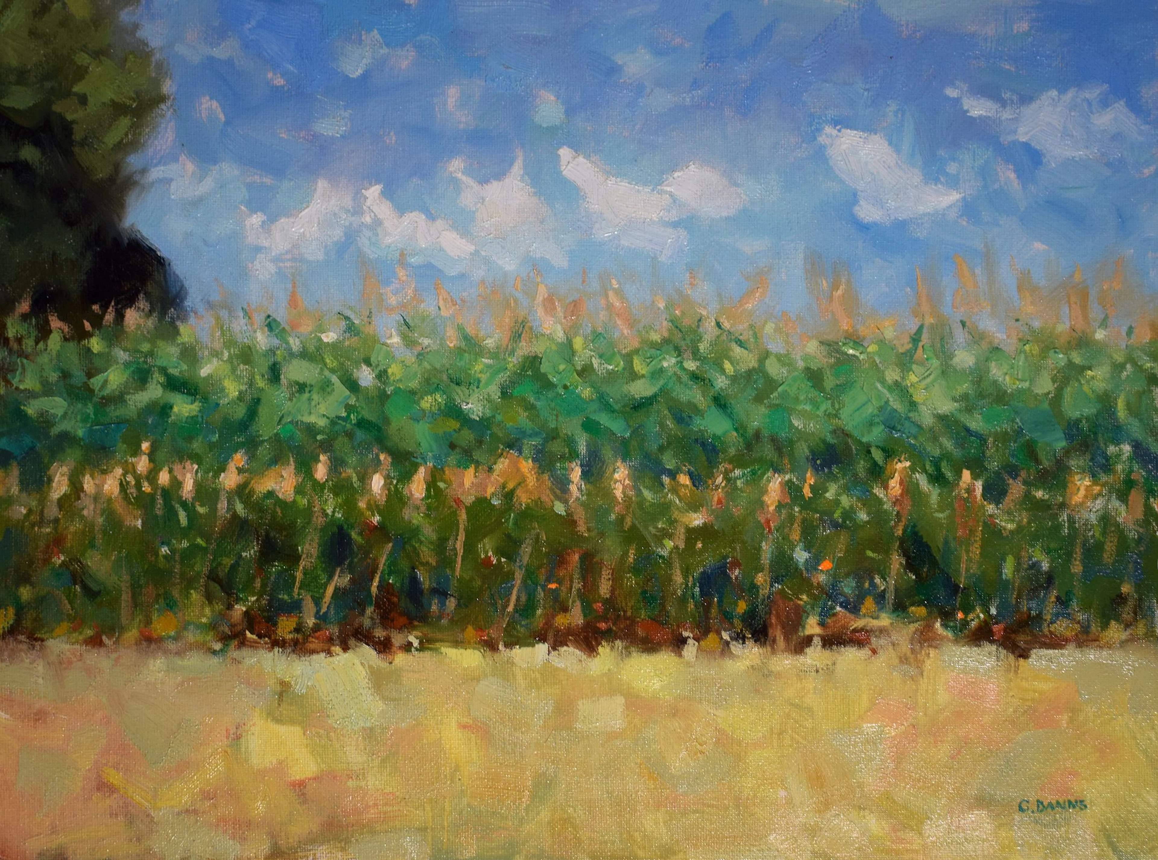 Field of corn with dancing clouds impressionism - Gav Banns