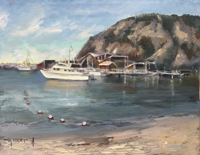 Dana Point Baby Beach - Grace Diehl