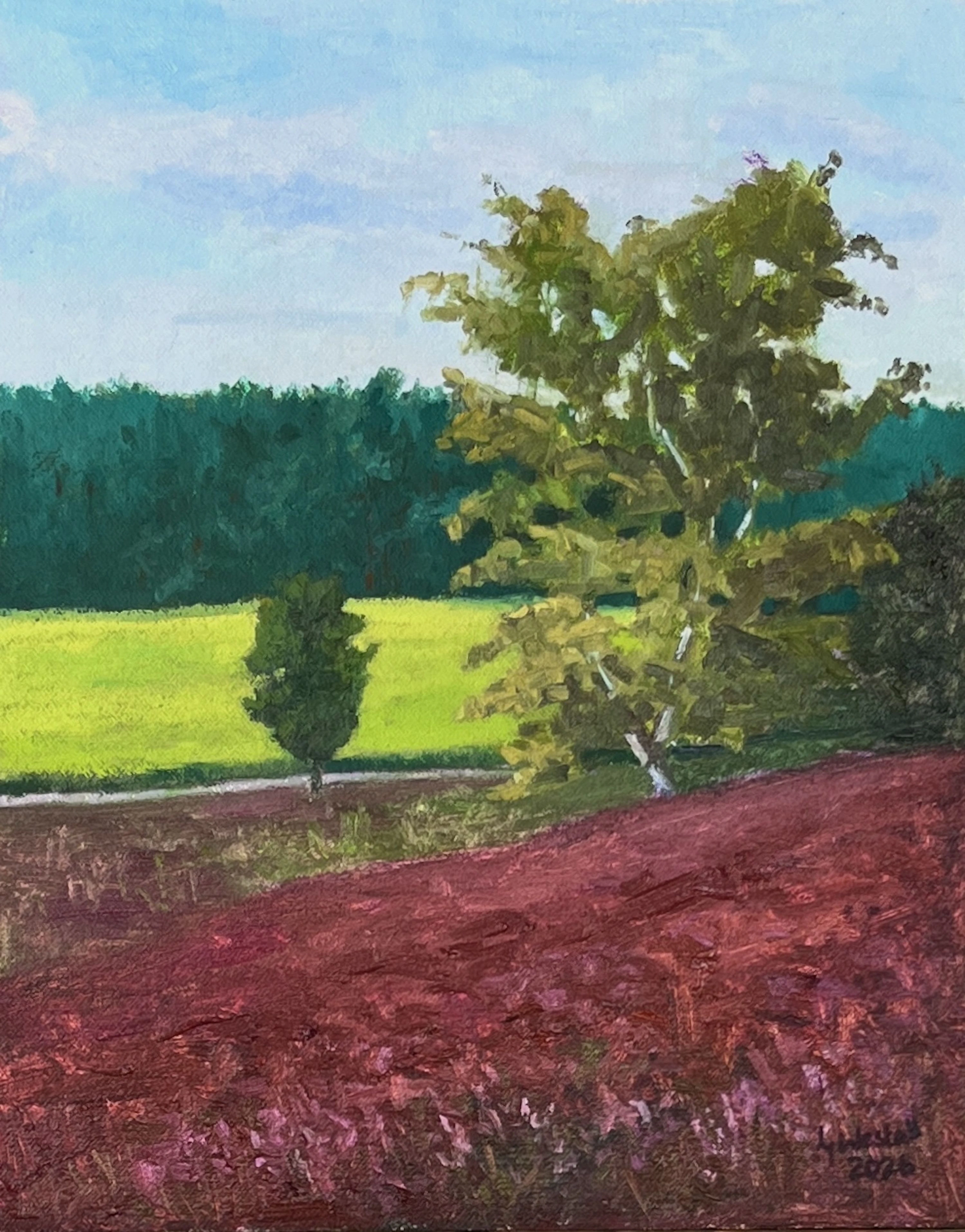 Between the Heath and the Horizon - Gary Westall