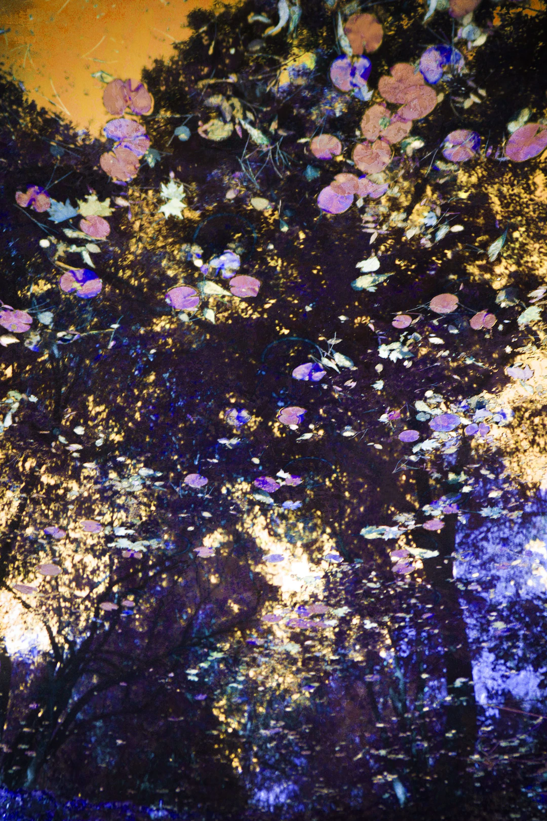 The breath of autumn III - Viet Ha Tran