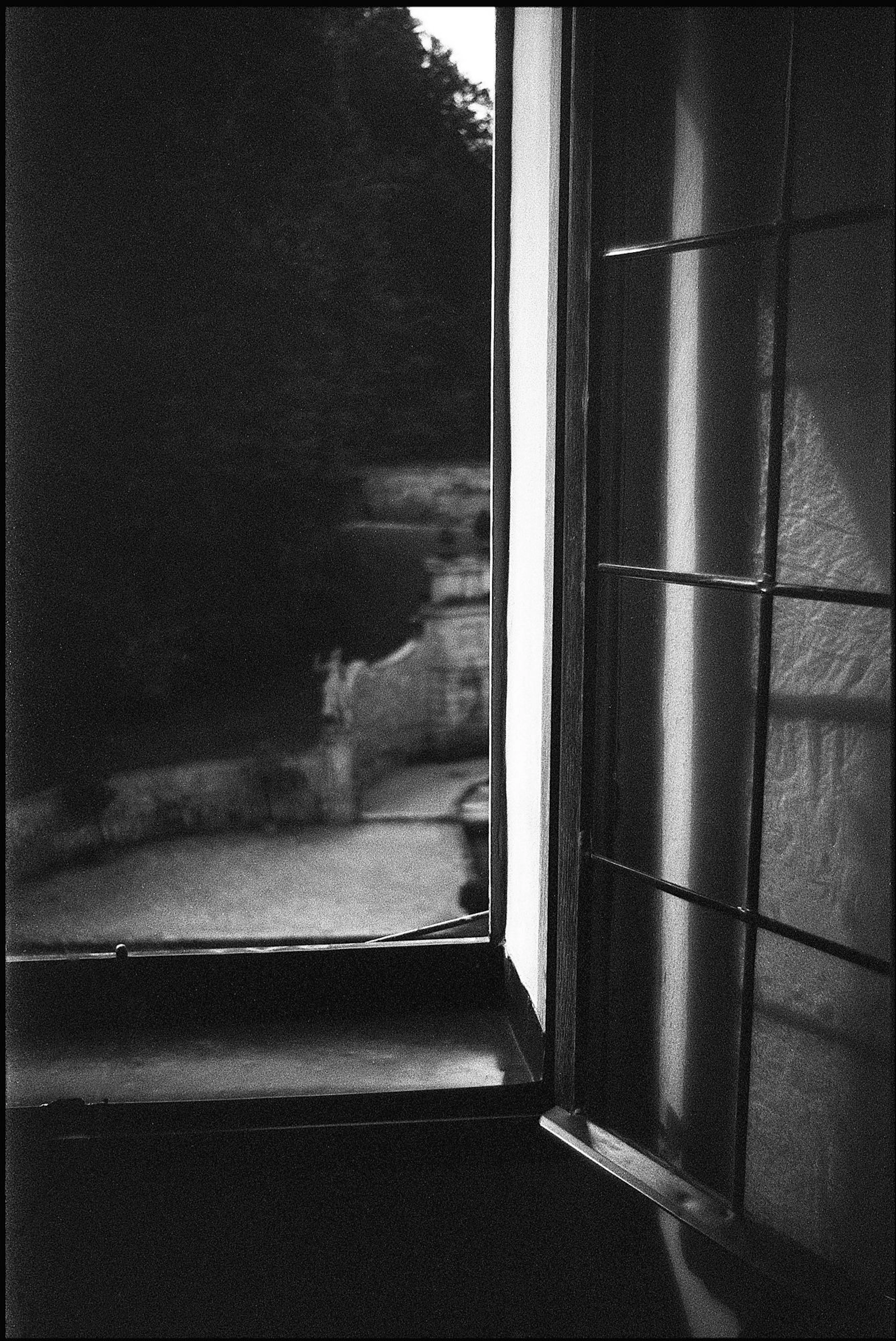 Edition of 10 - Window to Mirabelle lGardens - Paul Cooklin