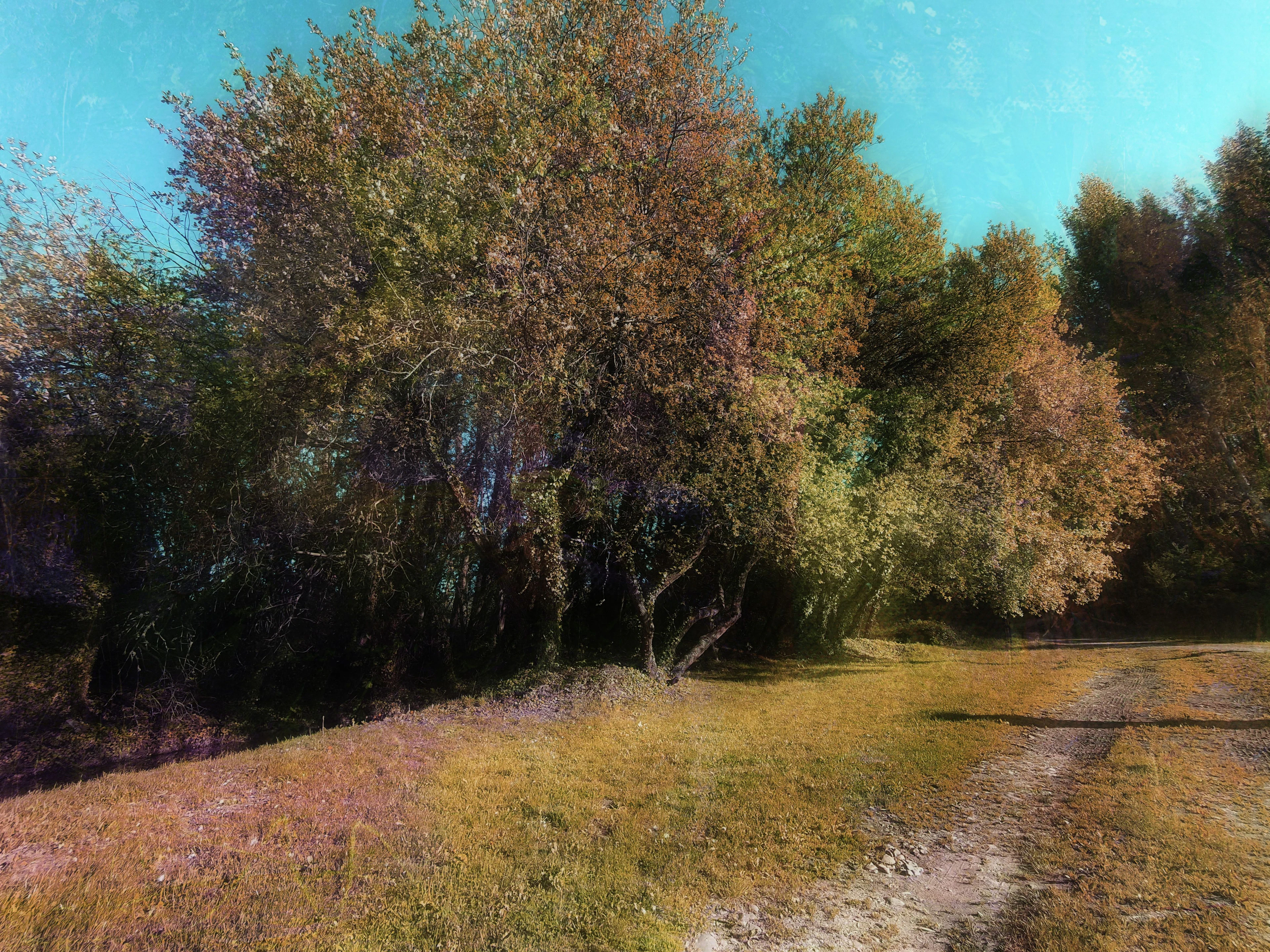 Only one road - Viet Ha Tran