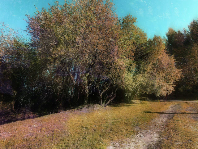 Only one road - Viet Ha Tran