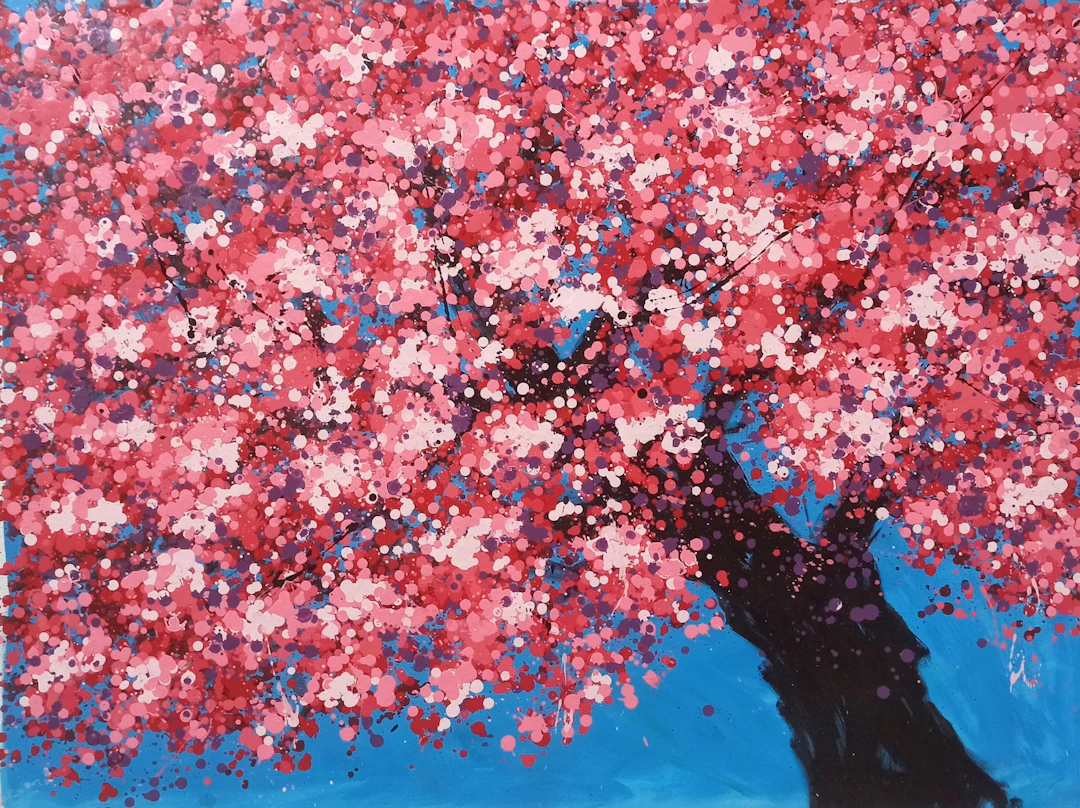 SAKURA - Cherry blossom - Hoang Phuong