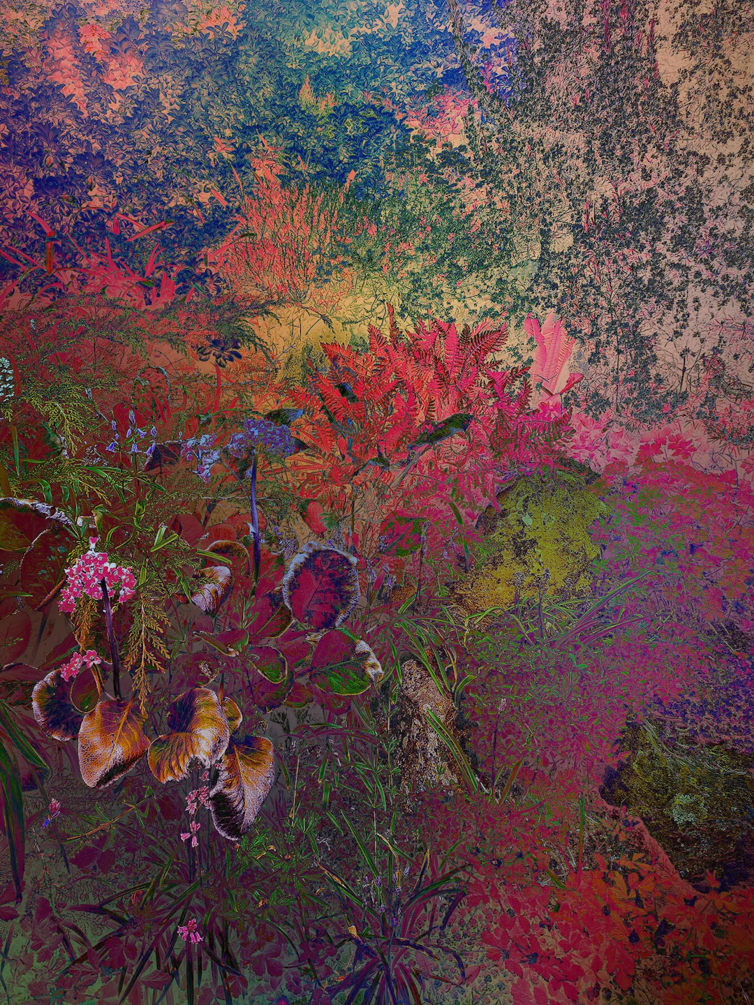 Shades of Dreams XIII - Viet Ha Tran