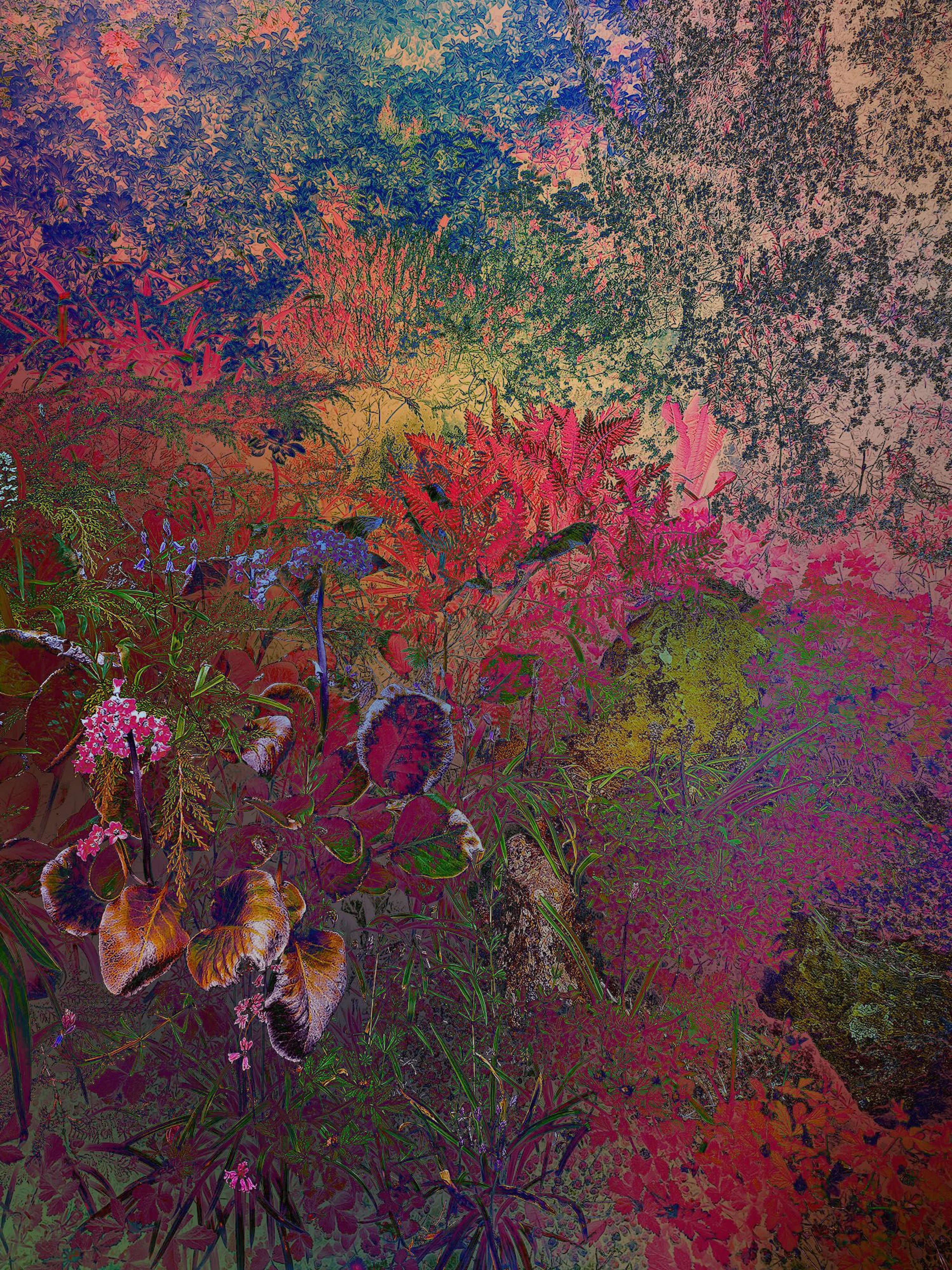 Shades of Dreams XIII - Viet Ha Tran