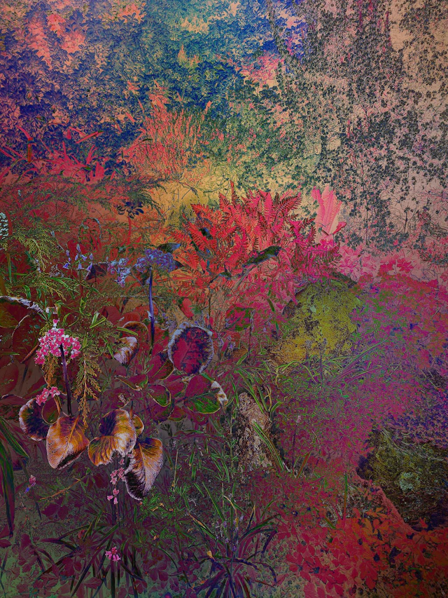 Shades of Dreams XIII - Viet Ha Tran