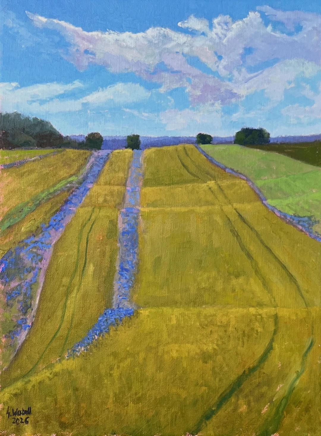 Cornflowers line the path - Gary Westall