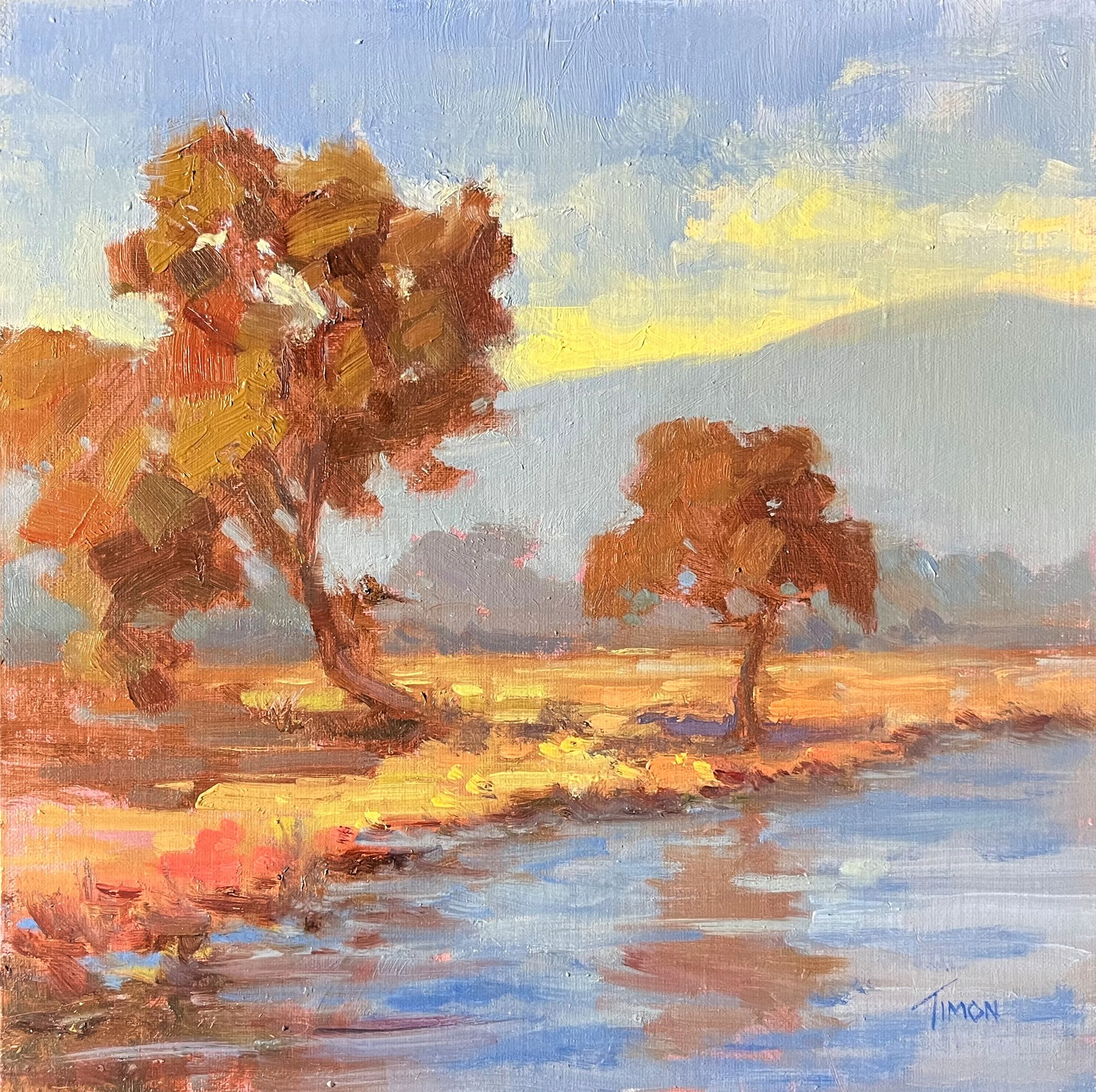 Bayside Edge - Timon Sloane