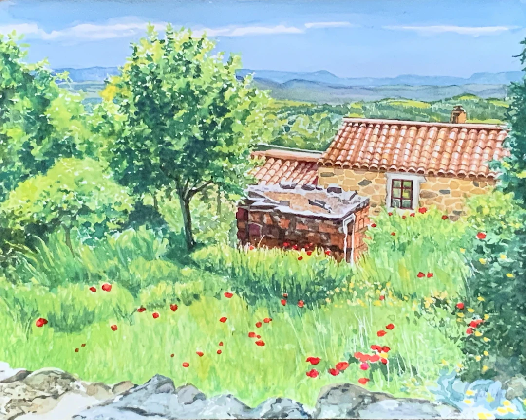 Springtime Poppies in Portugal - Leslie White