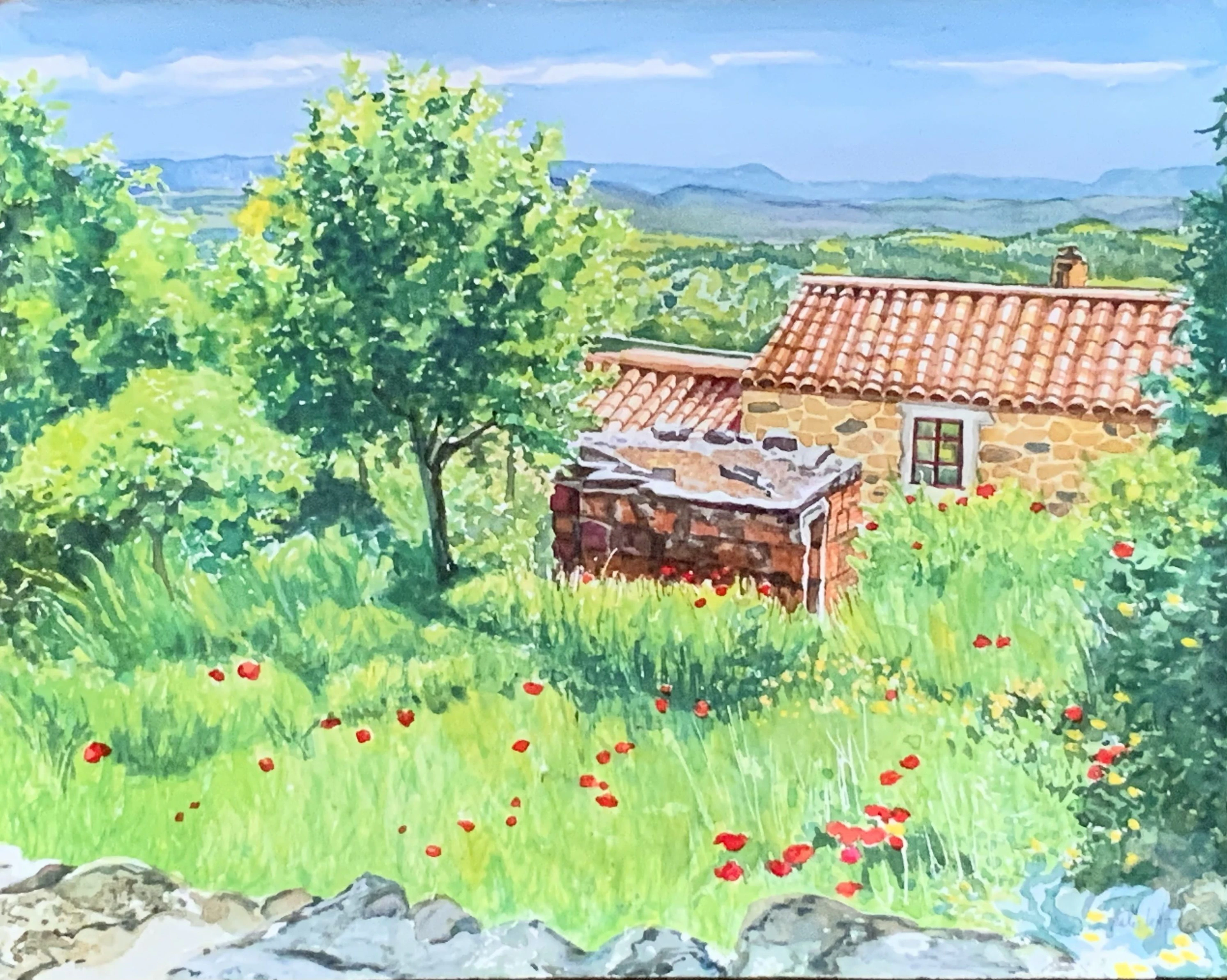 Springtime Poppies in Portugal - Leslie White