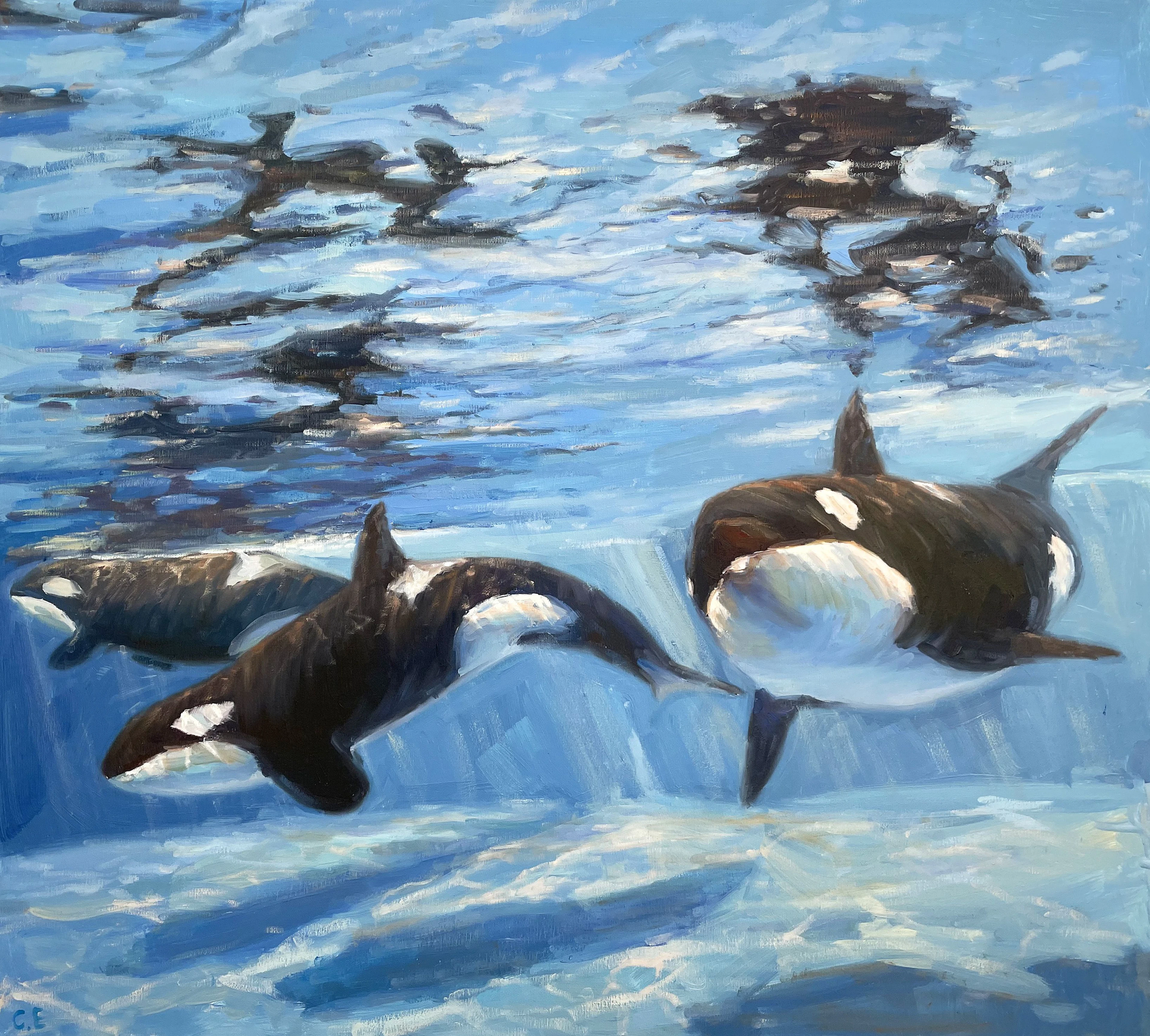 Killer whale - Evgeny Chernyakovsky
