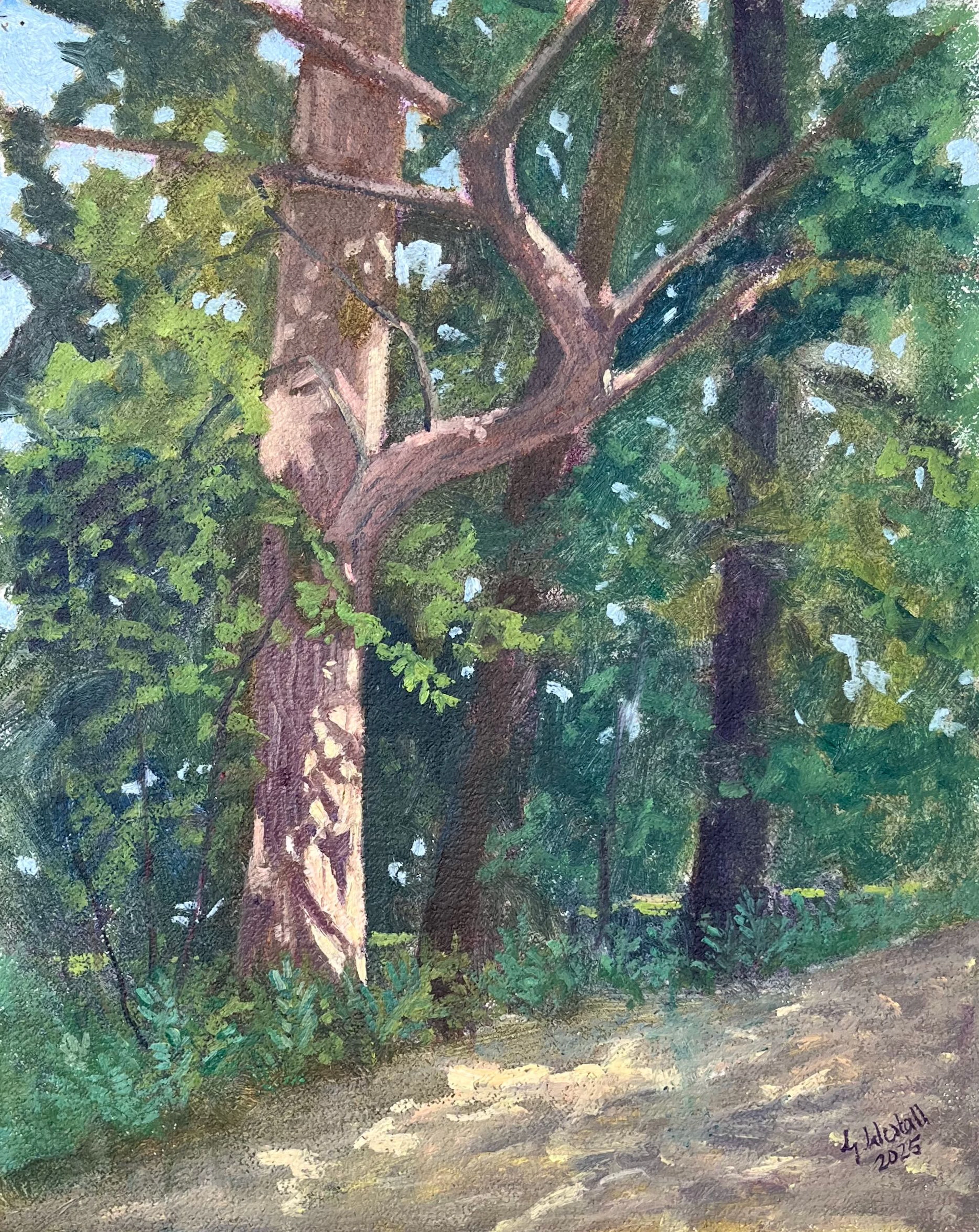 Tango in Park - Gary Westall