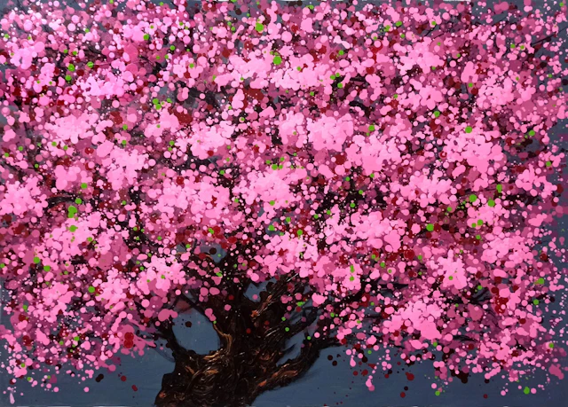 SAKURA - Cherry blossoms bloom - Hoang Phuong