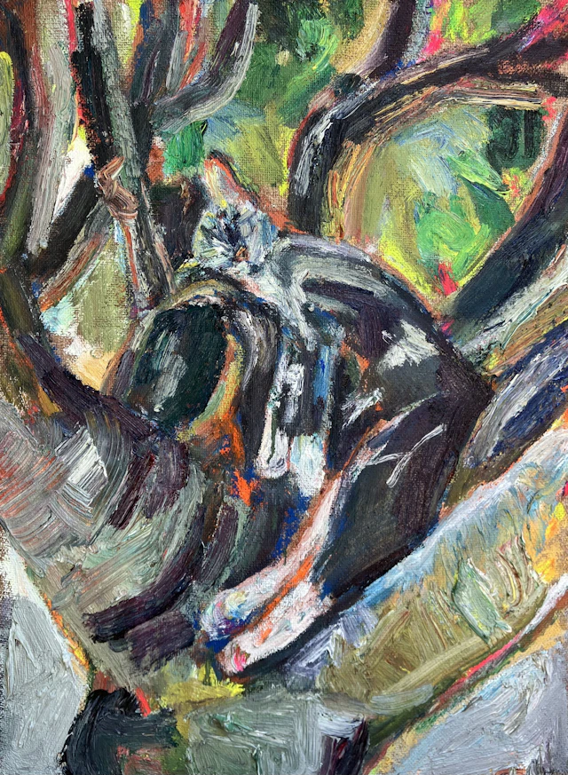 Kitten in fig tree #2 - John Kilduff