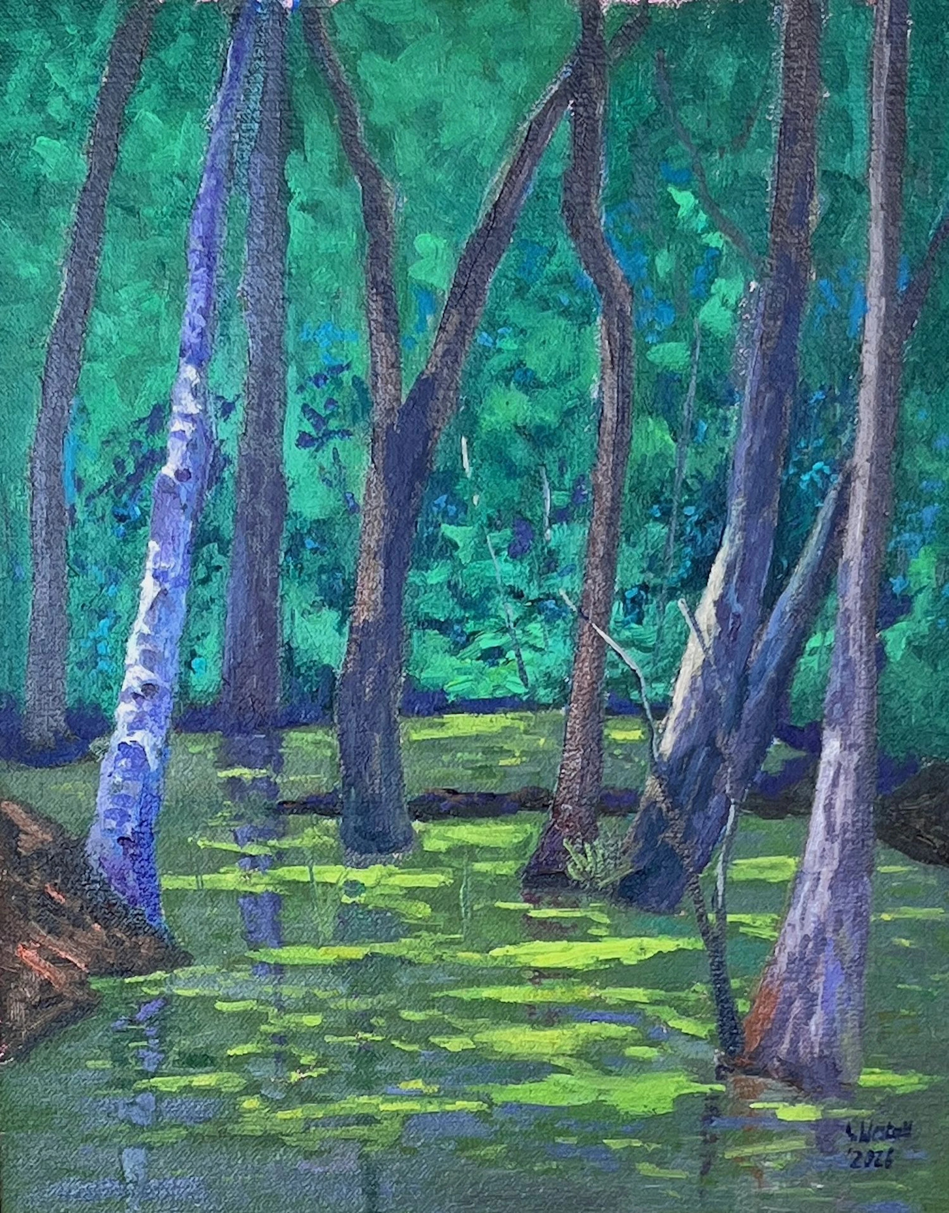 In the Hidden Moor - Gary Westall