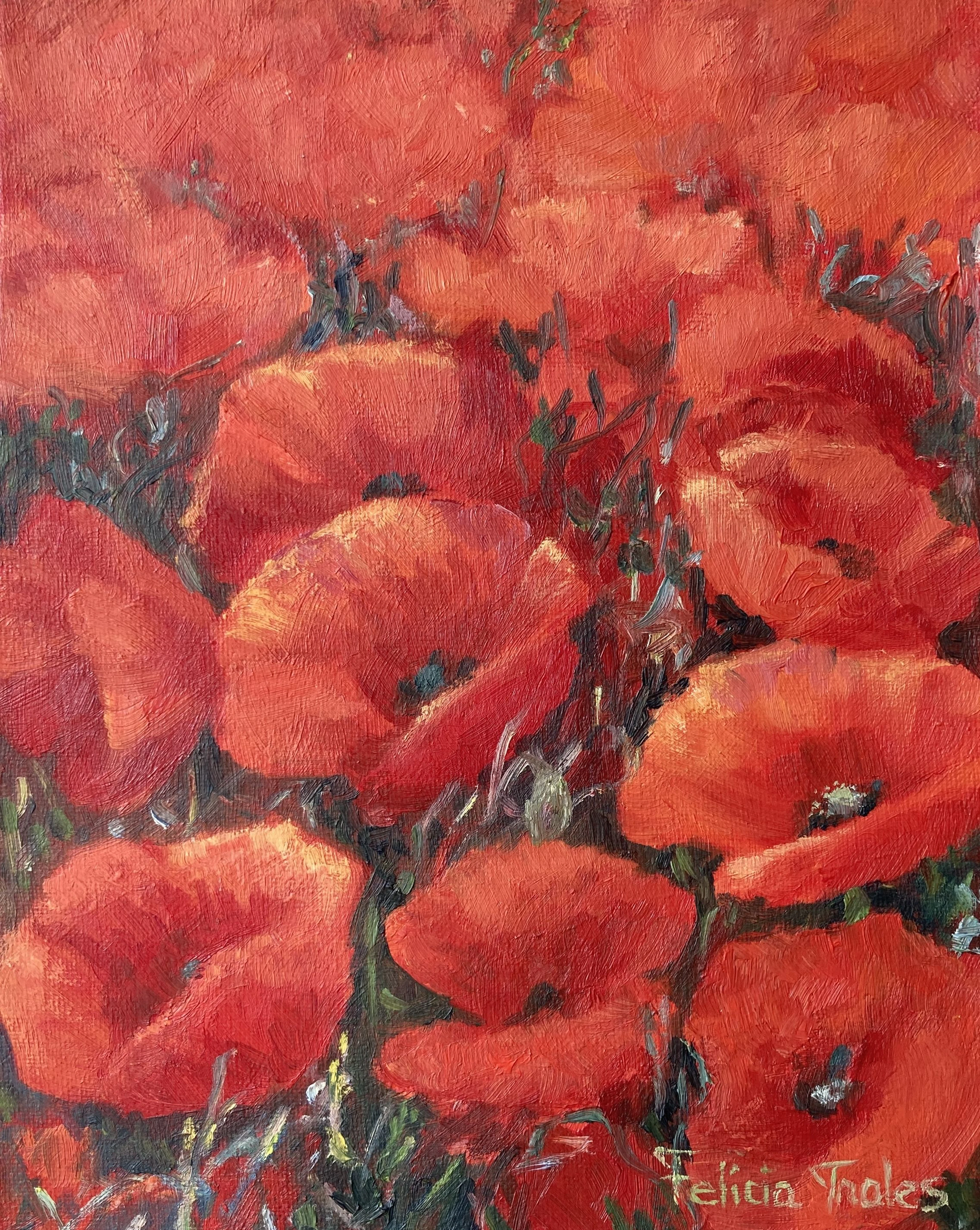 Poppies - Felicia Trales