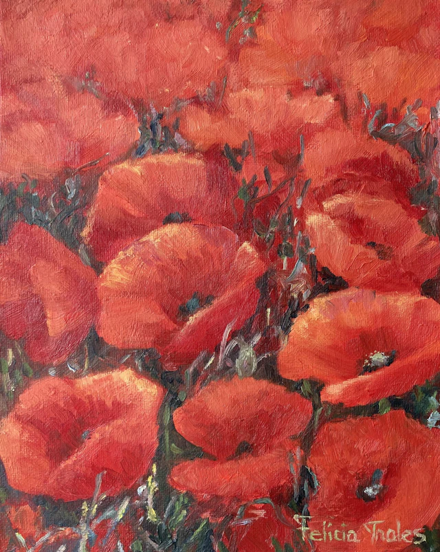 Poppies - Felicia Trales