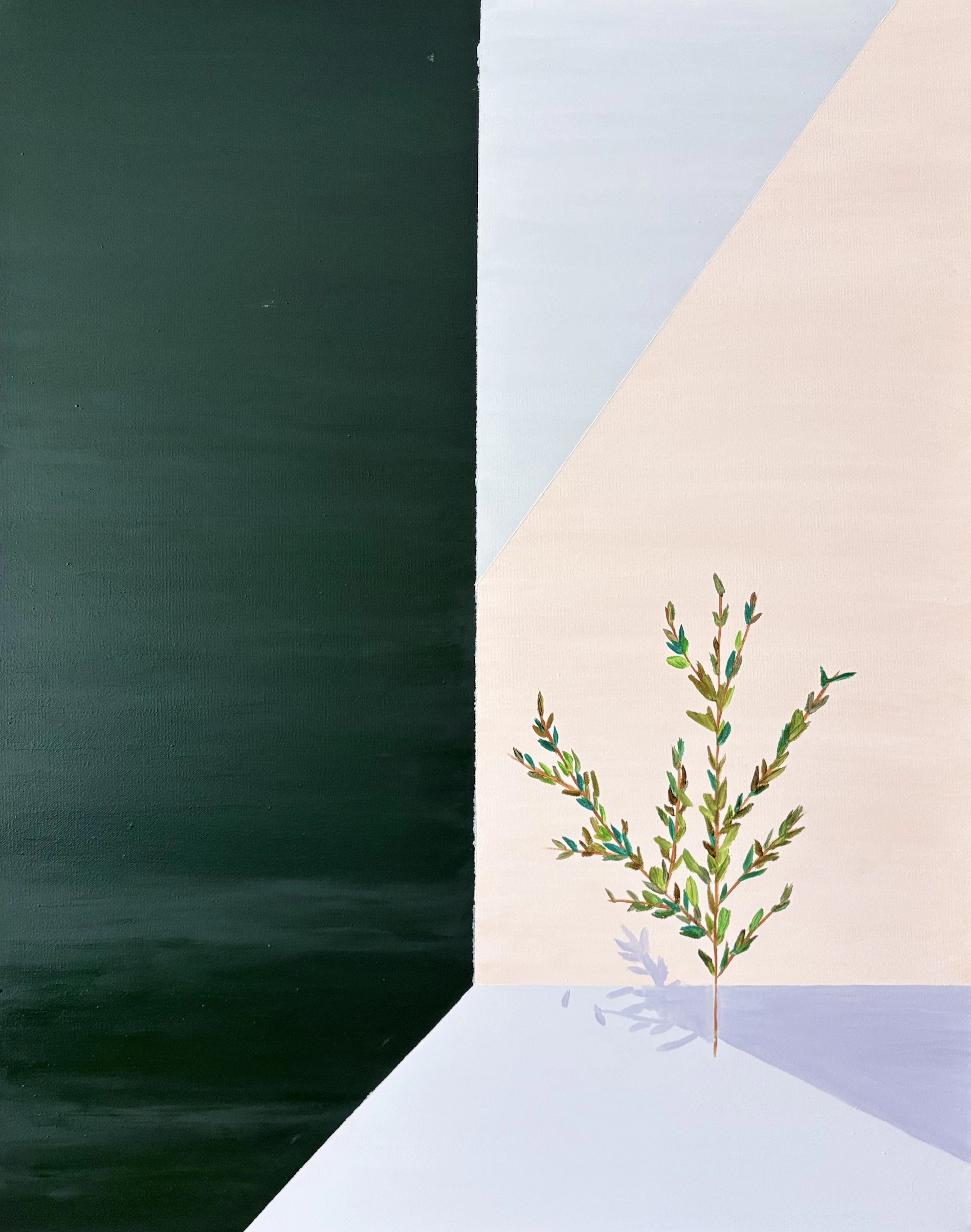 The Shape of Stillness XIII — Verdant Silence - JIAN MA