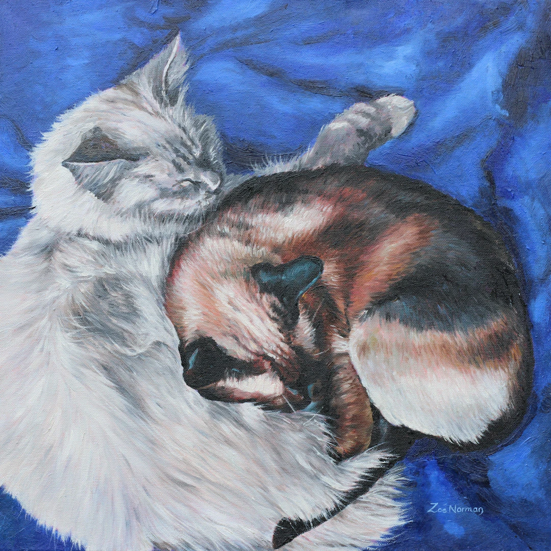 Sleeping Cats - Zoe Elizabeth Norman
