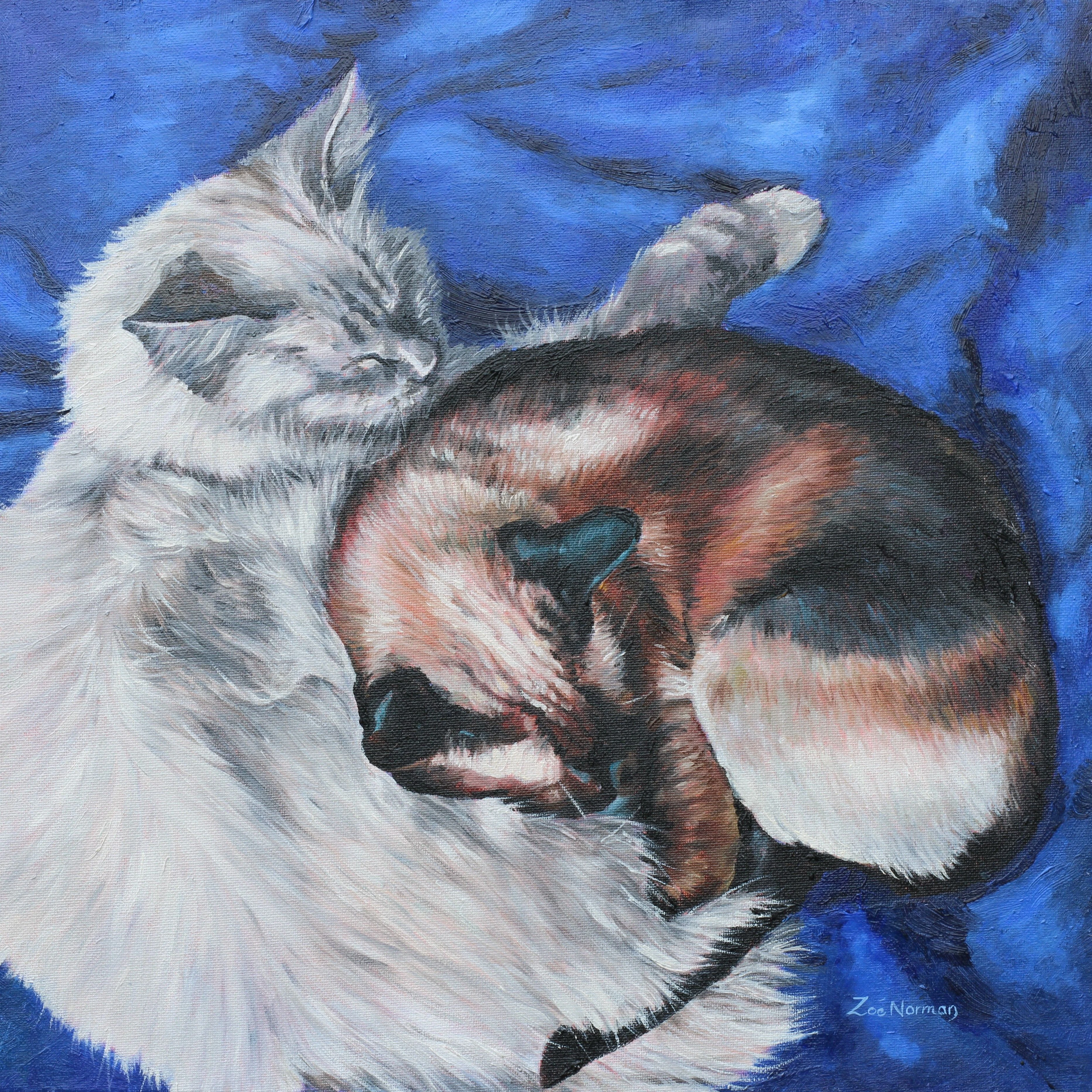 Sleeping Cats - Zoe Elizabeth Norman