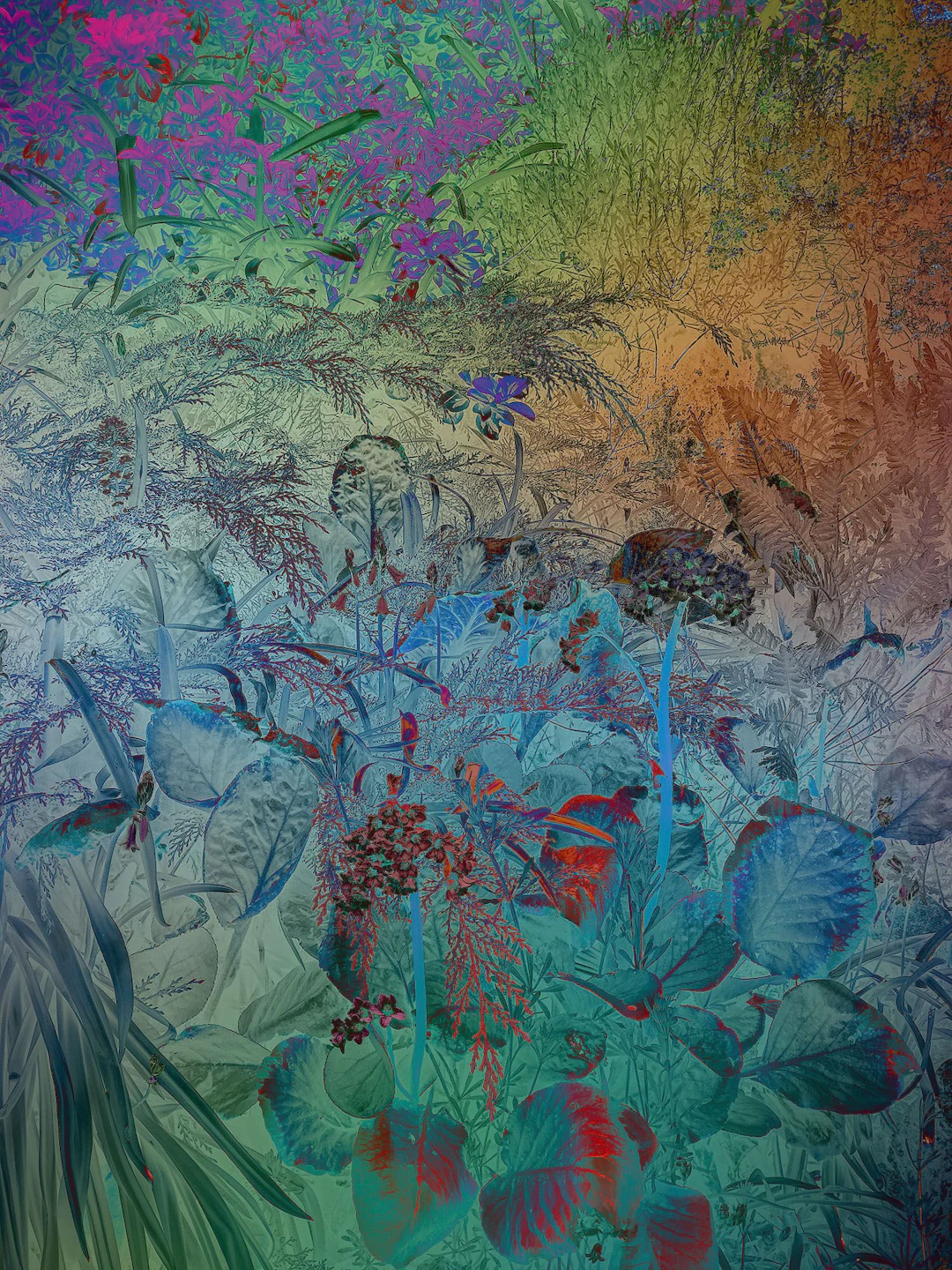 Shades of Dreams XX - Viet Ha Tran