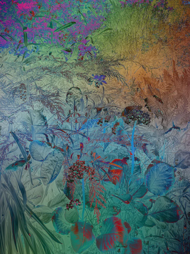 Shades of Dreams XX - Viet Ha Tran