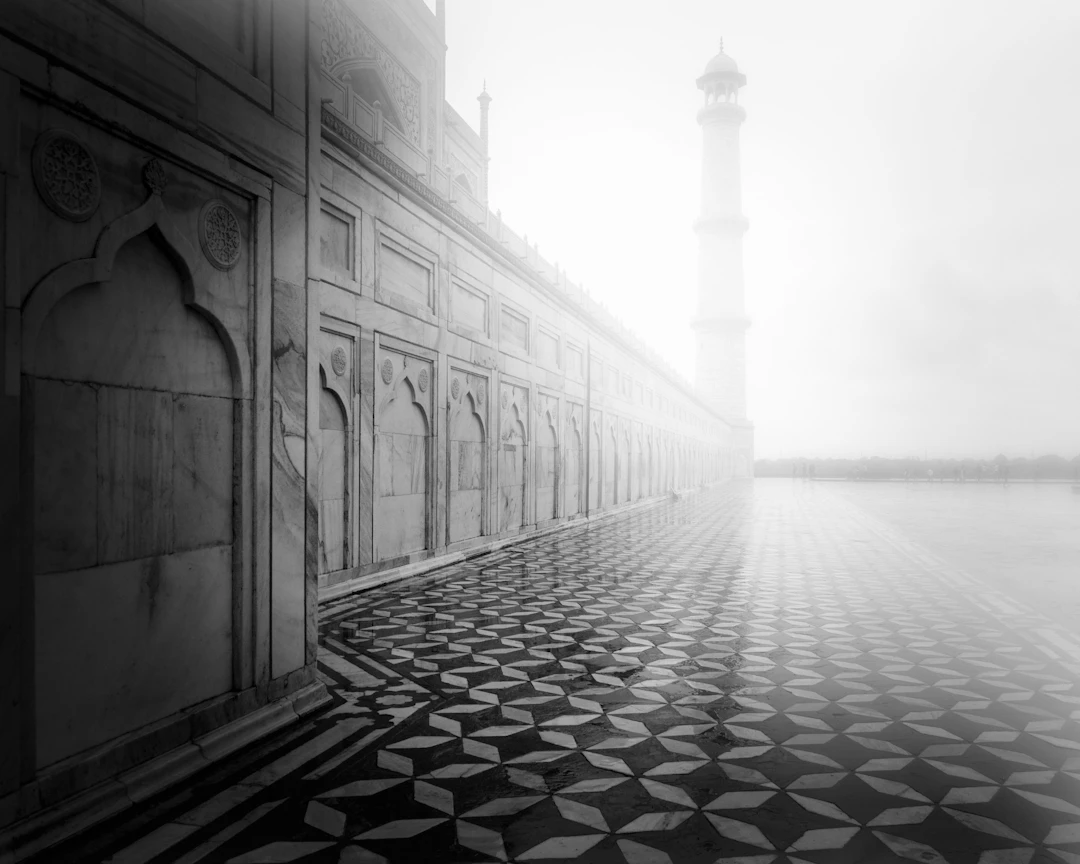 The Taj - Serge Horta