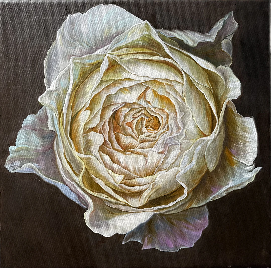 Cream rose on dark brown background - Elena Podmarkova