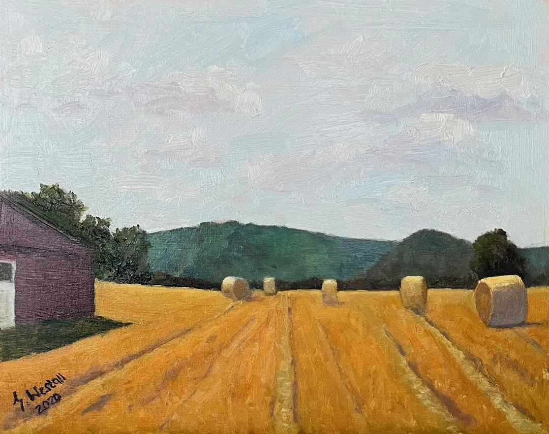 Straw bales - Gary Westall
