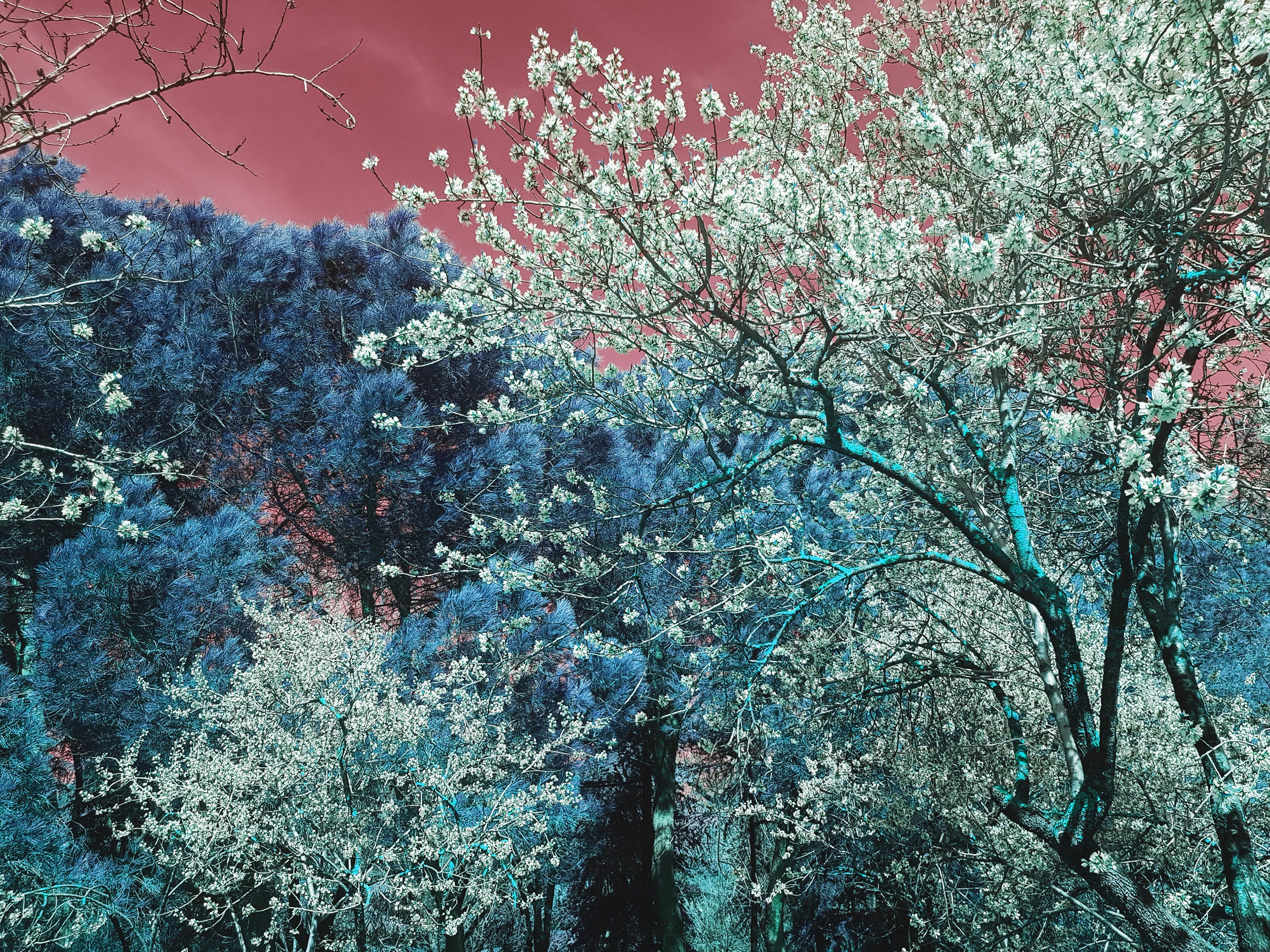 Nature and Seasons III - Viet Ha Tran