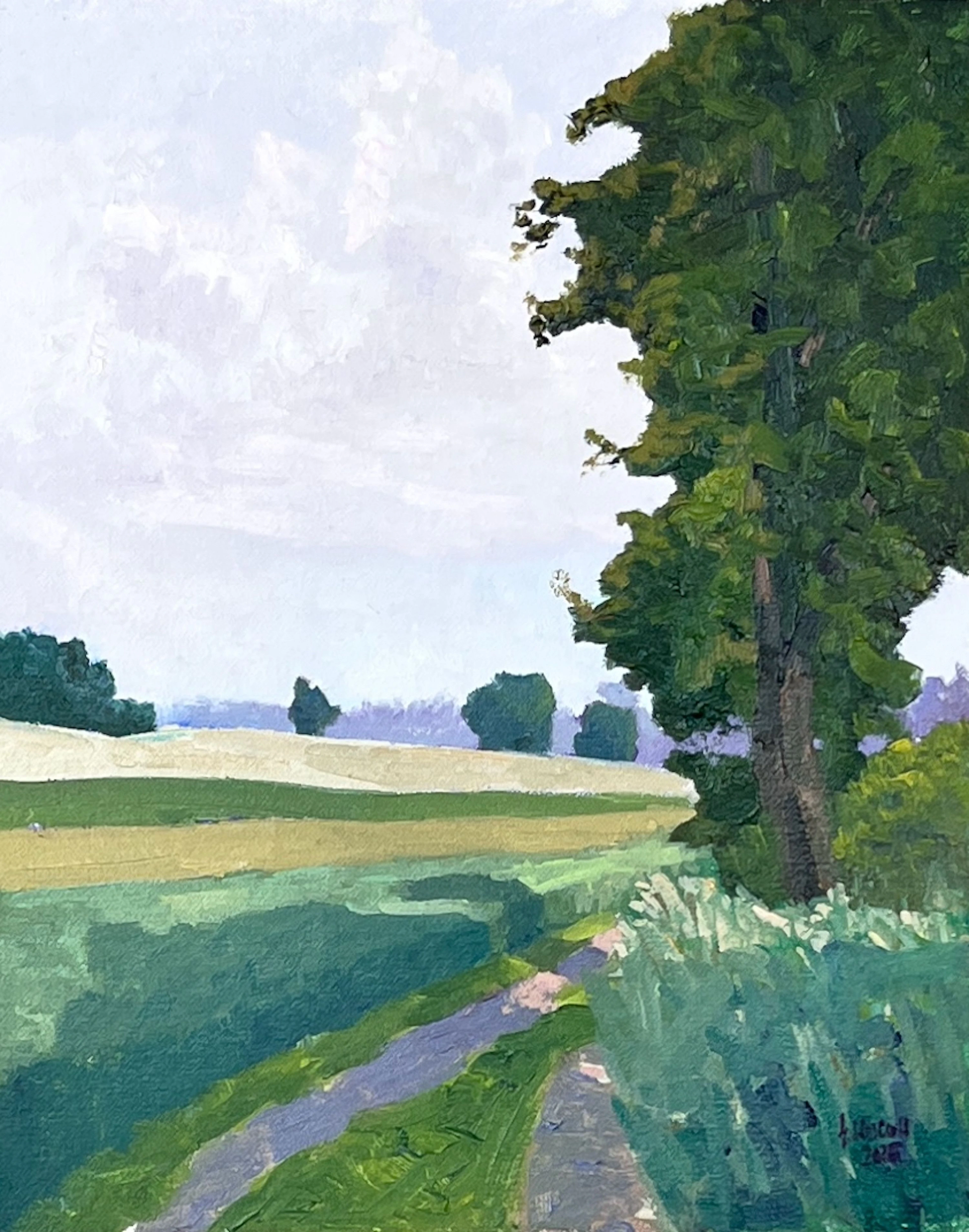 On the Field Road - Gary Westall