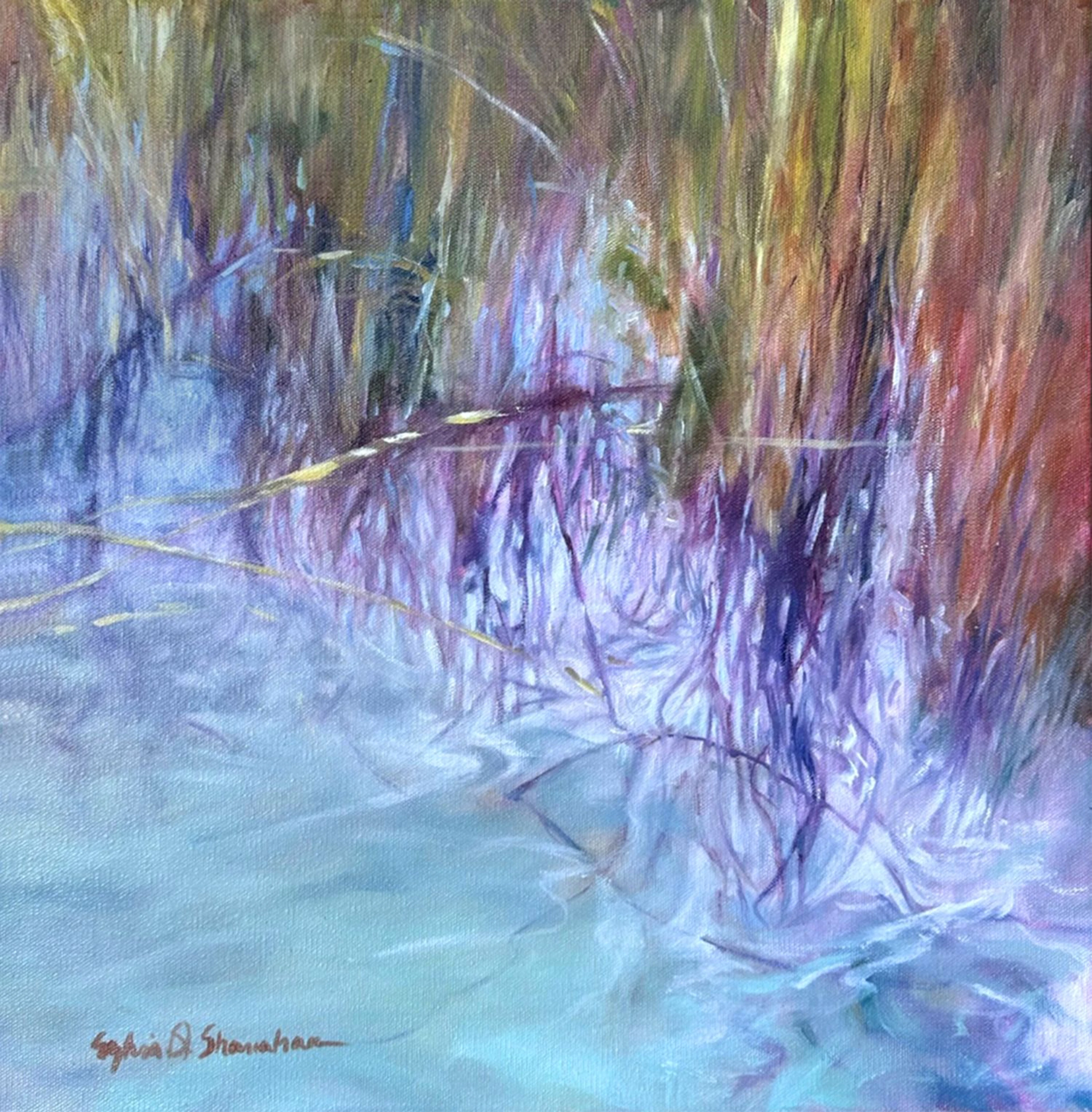 The Holy Waters of Havasu - Sylvia Shanahan