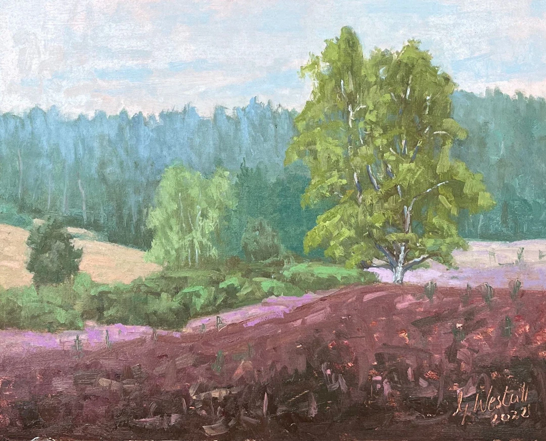 In the morning in Kirchdorferheide - Gary Westall