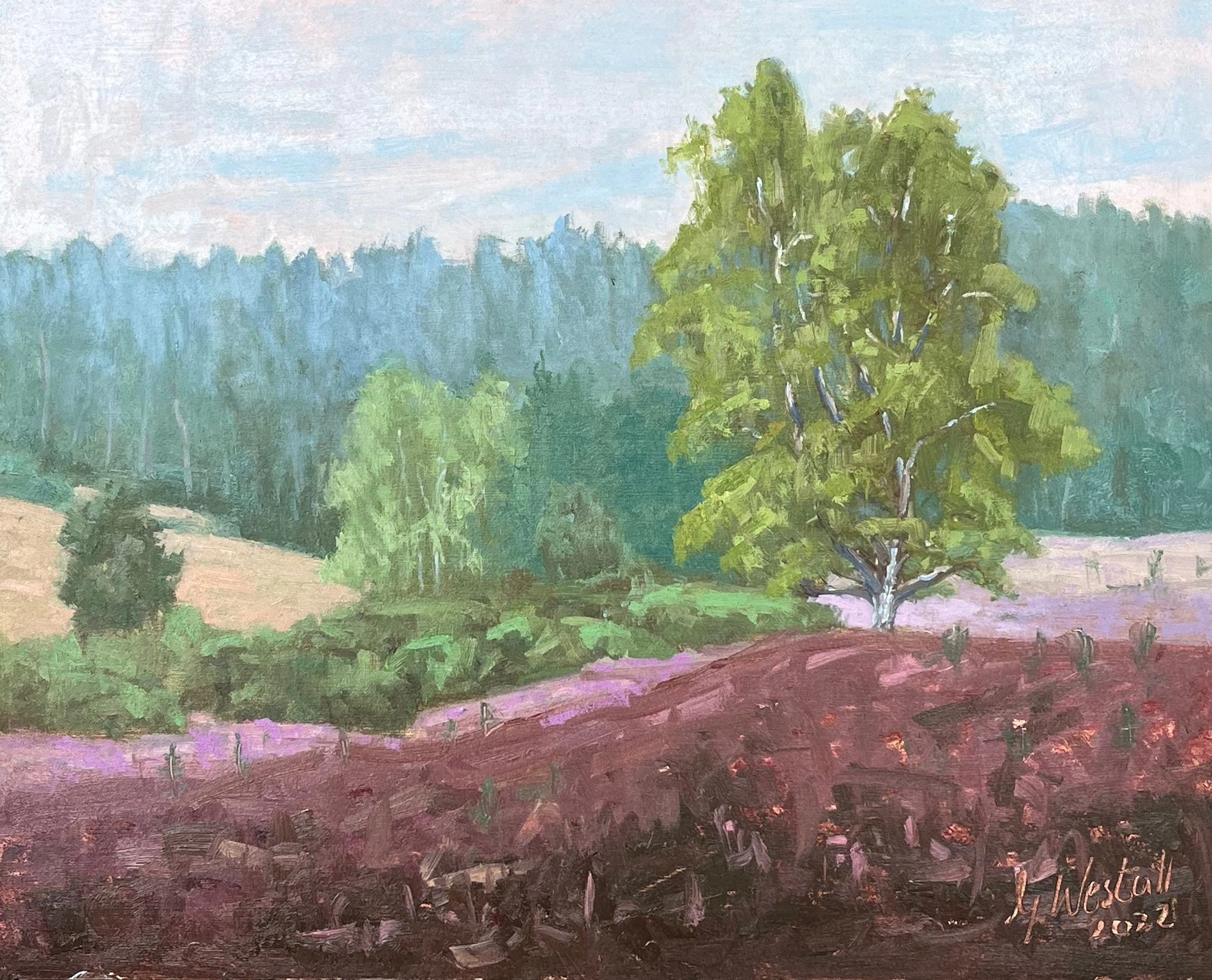 In the morning in Kirchdorferheide - Gary Westall