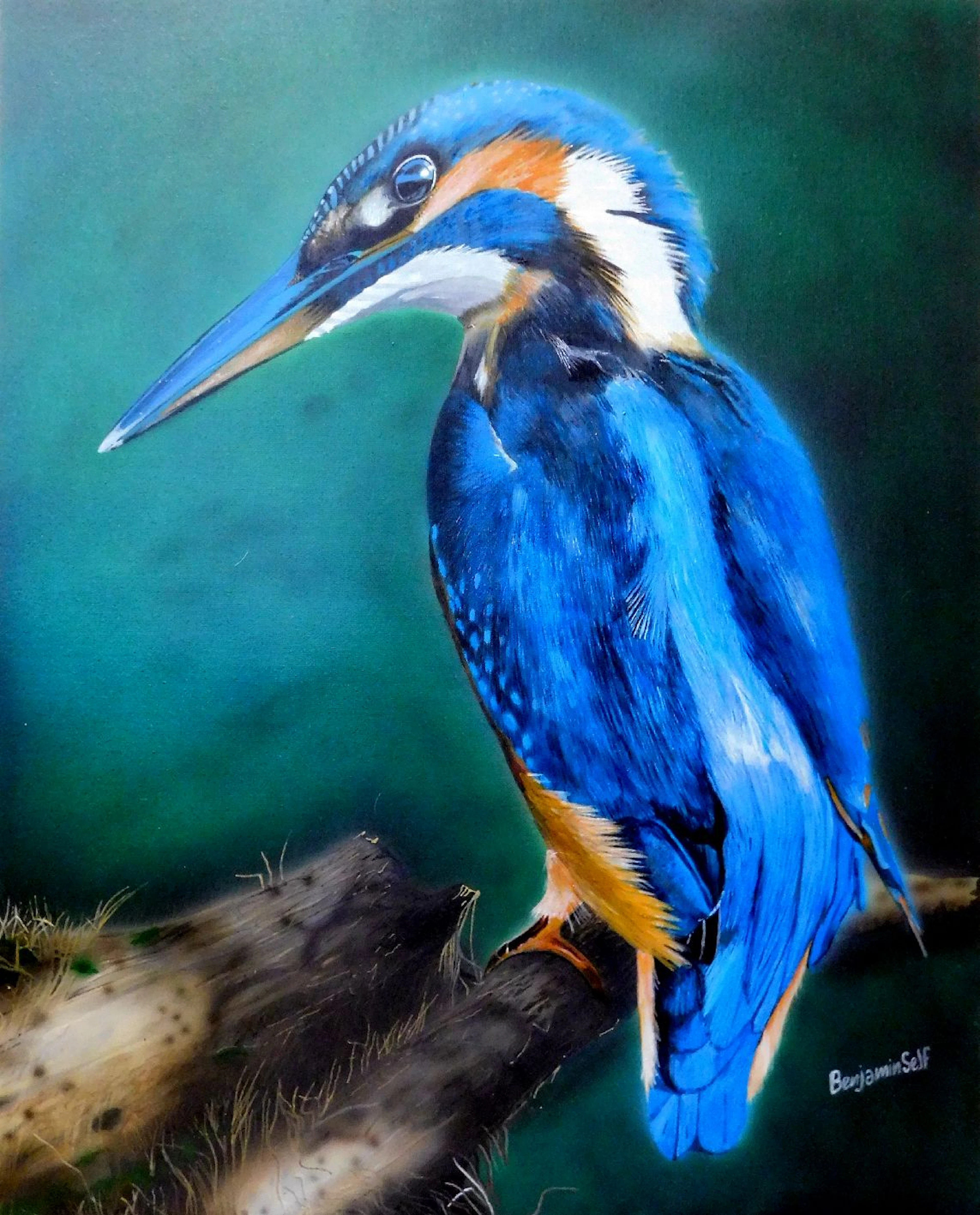 Kingfisher painting - Benjamin Self