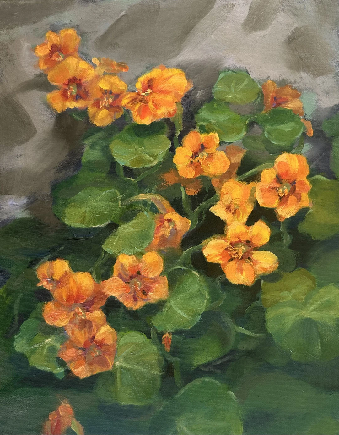 Nasturtium Flowers - Grace Diehl
