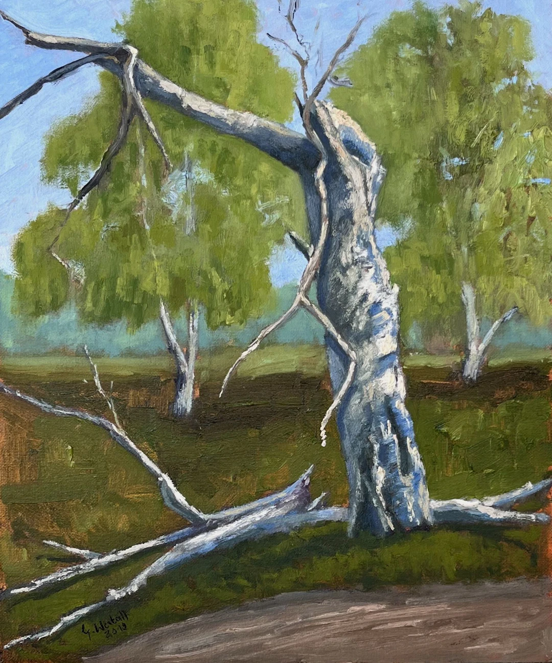 In the hidden full of life - Gary Westall