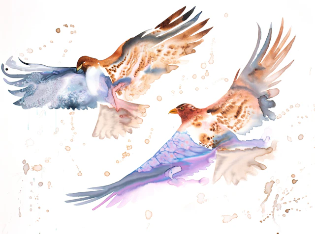 Hawks in Flight - Elizabeth Becker