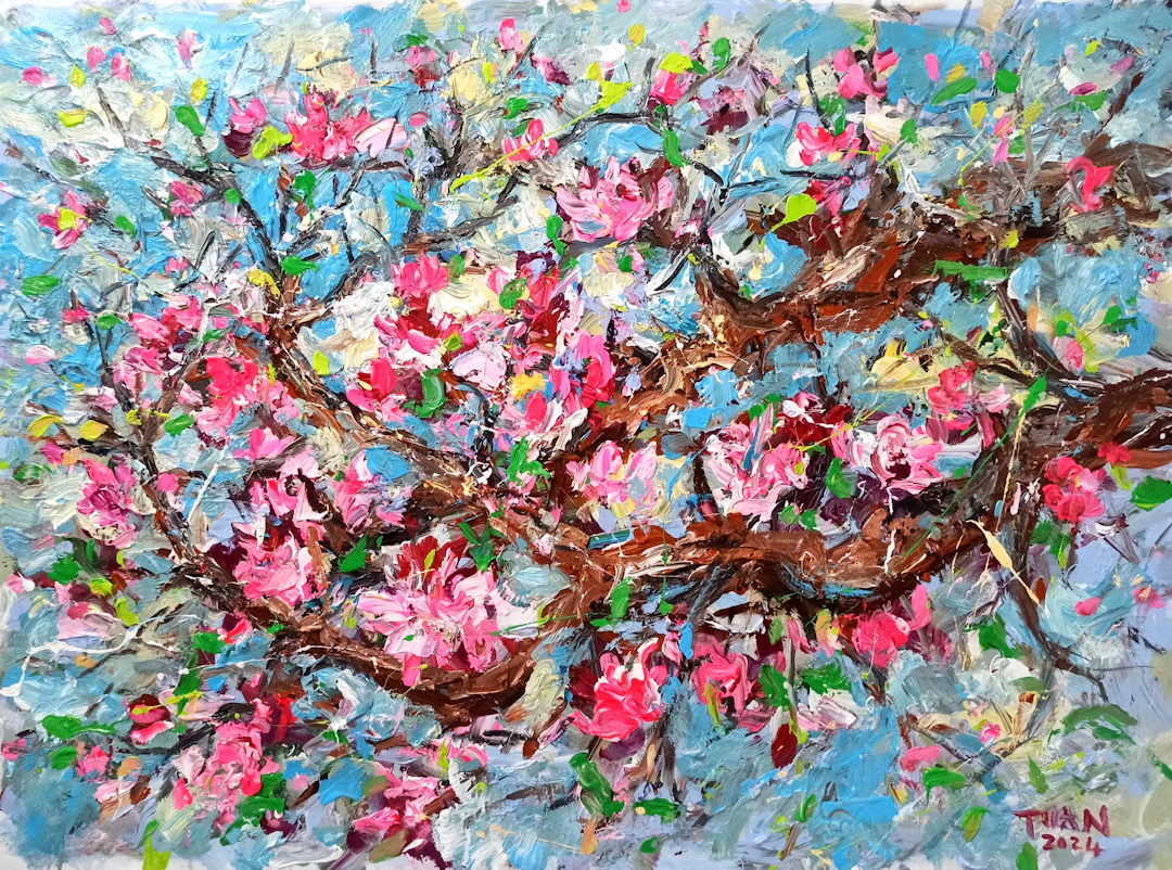 The cherry blossoms have bloomed signaling a new s - LE ANH TUAN