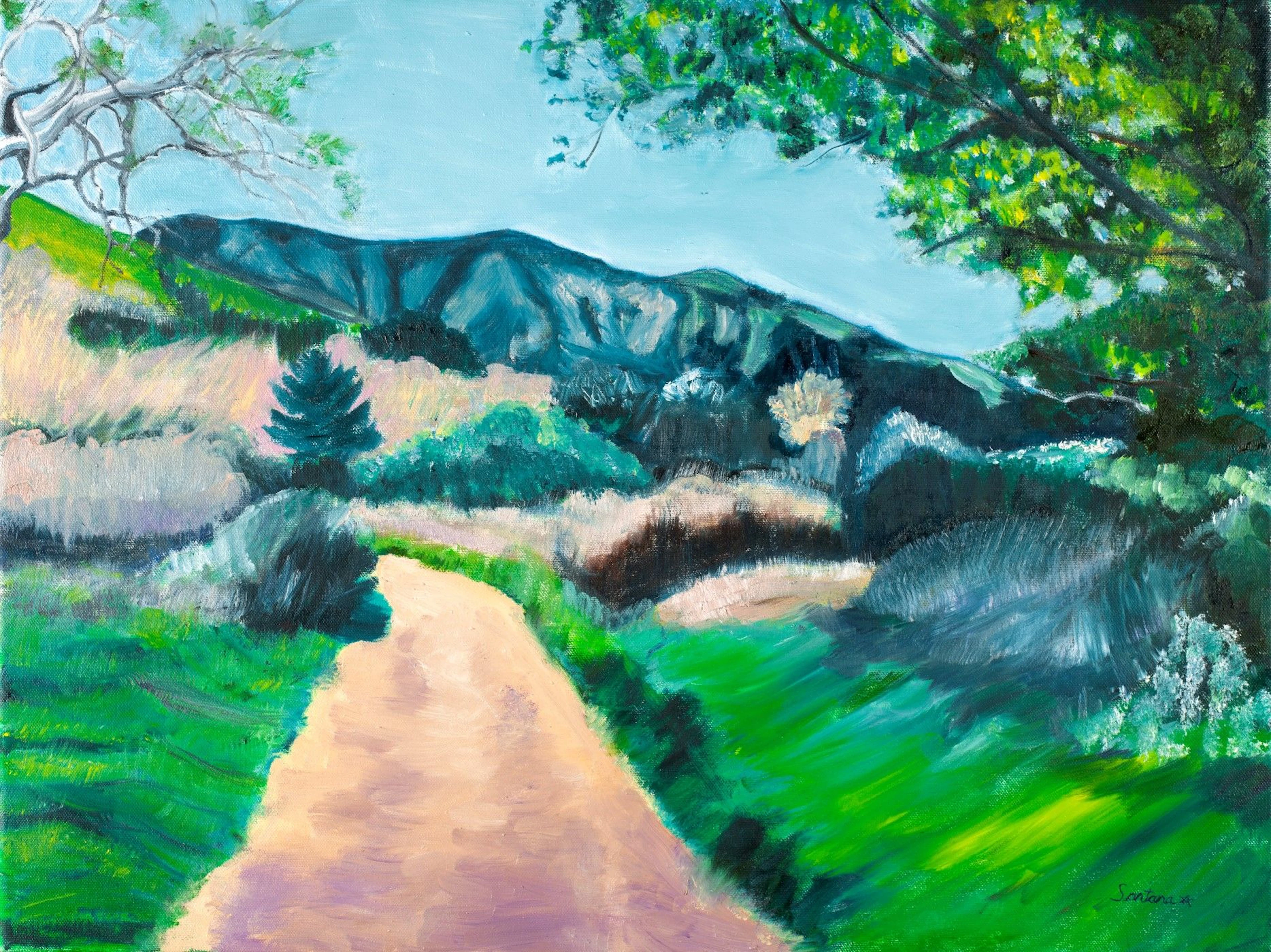 Path to the Mountain - Santana Star