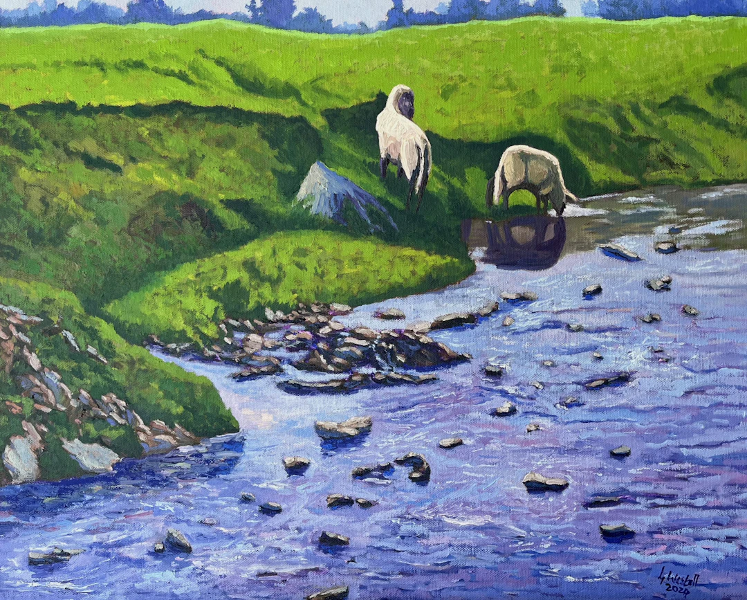 Sheep at the Wiembecke Hornoldendorf. - Gary Westall