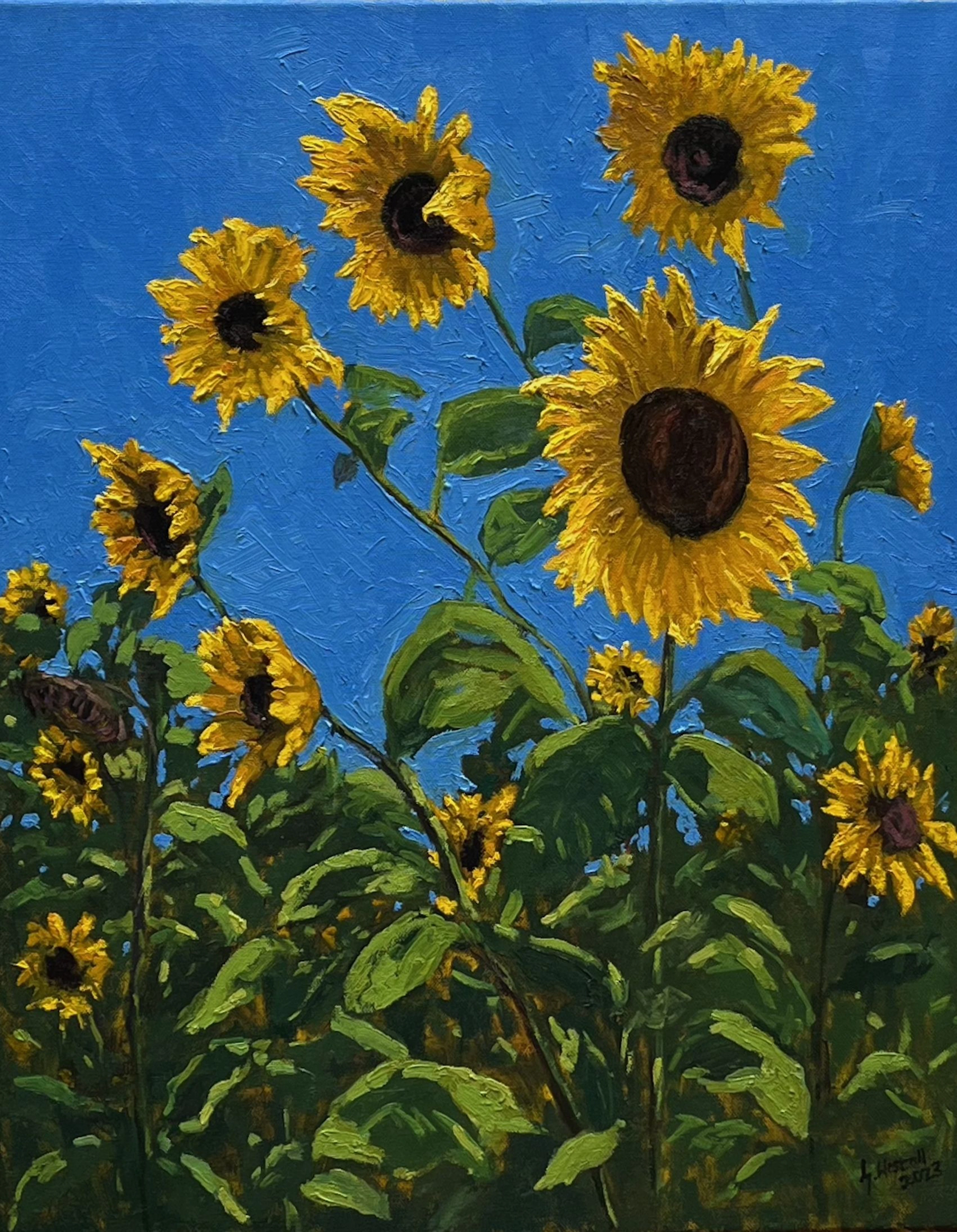 Sunny greetings from Rahden - Gary Westall