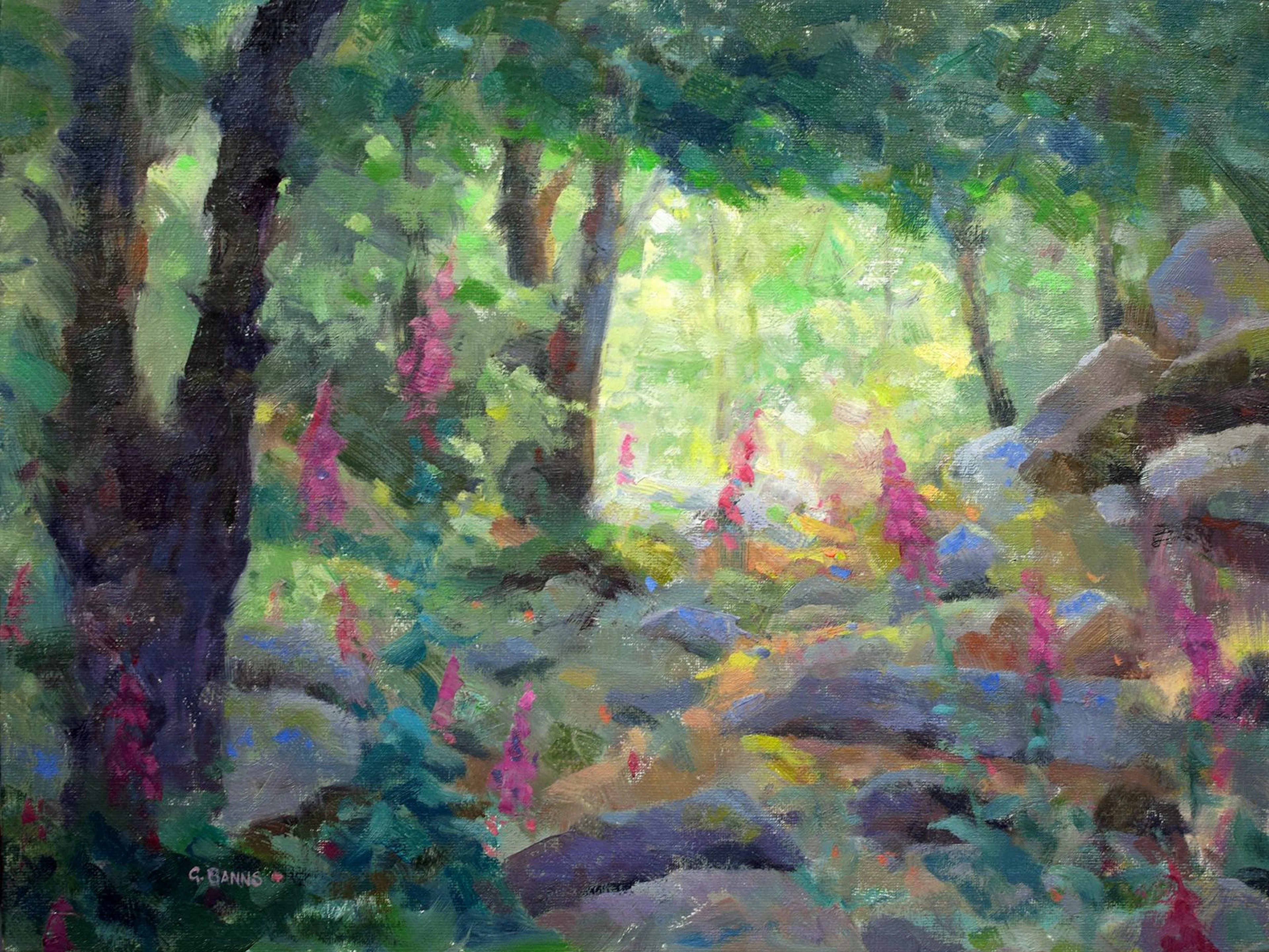 Foxgloves on the forest floor bathed in light - Gav Banns