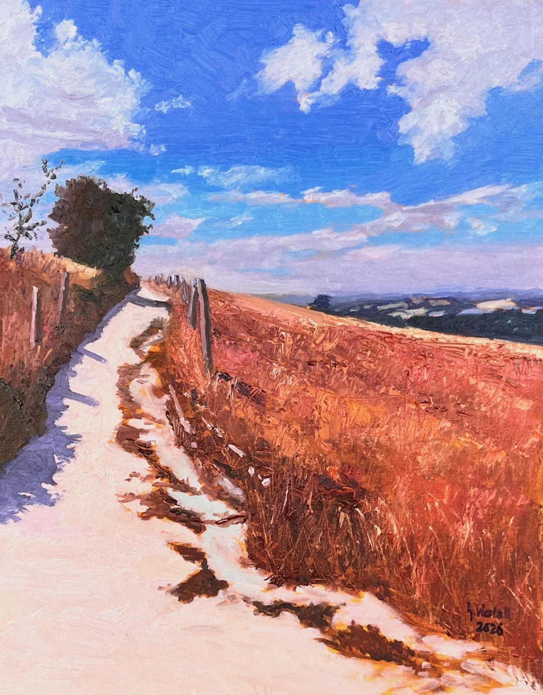 This is how I remember England - Gary Westall