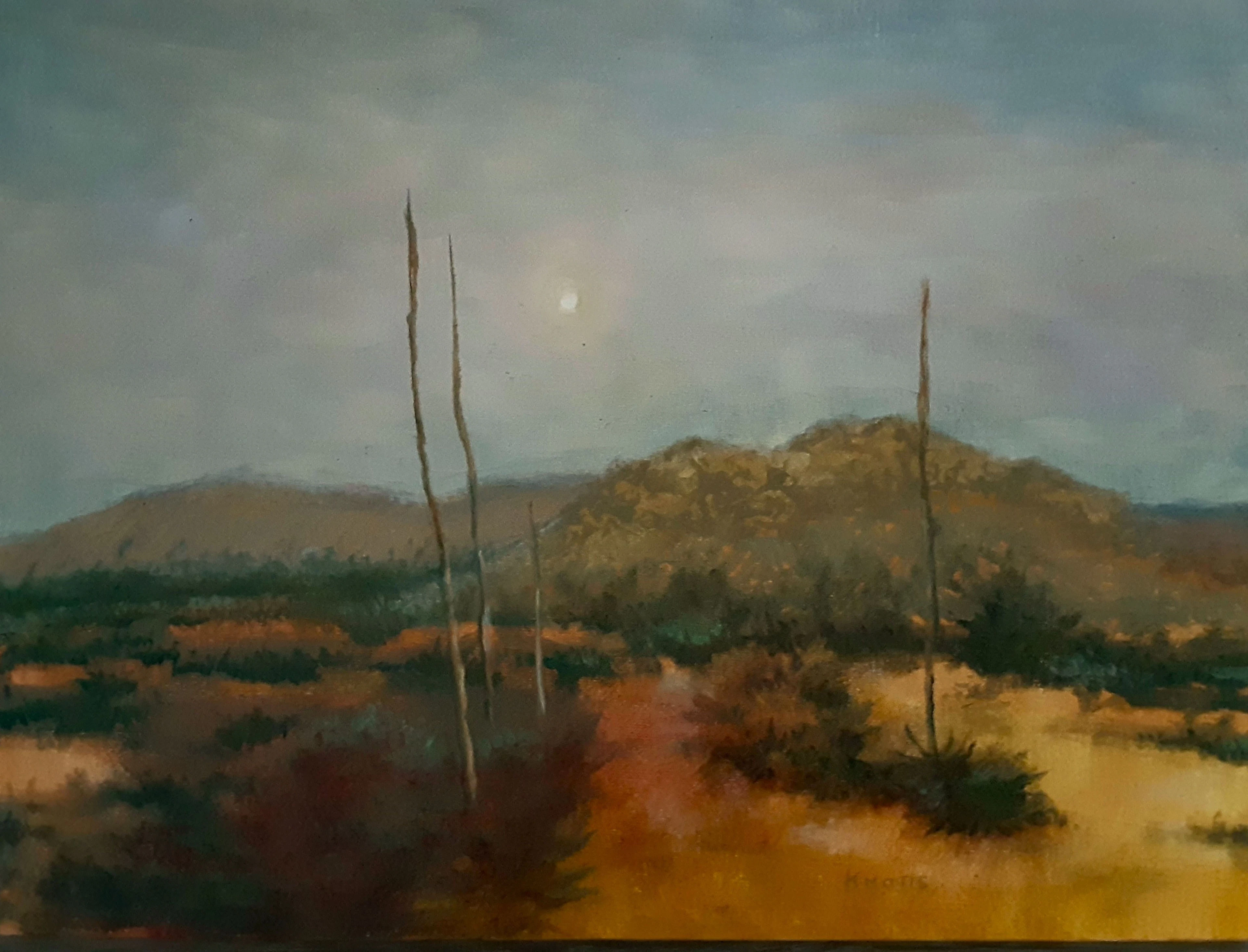 Marfa Moon - Steve Knotts
