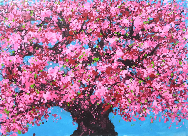 SAKURA - Cherry blossoms bloom - Hoang Phuong