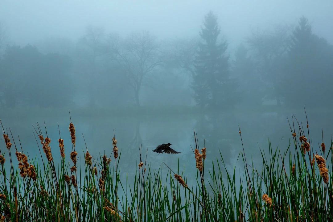 Milwaukee Lake 3 - Michael Filonow